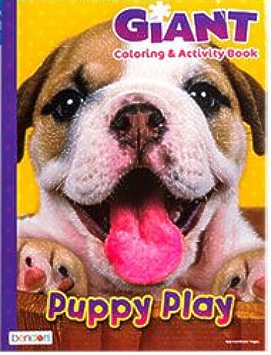 Set of 2 Giant Coloring and Activity 162-Pages Each Puppys and Kittens