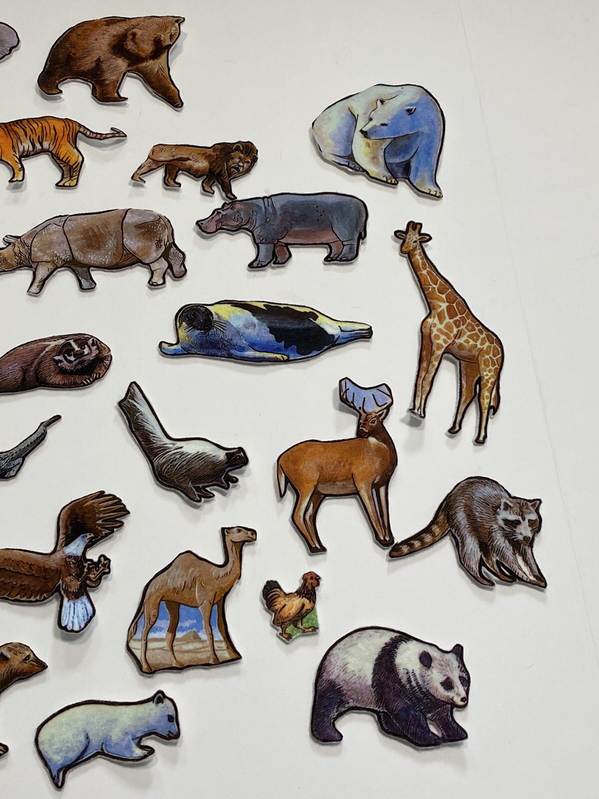 Story Teller Felt Story Wild Animals 28 Individual Felt Pieces Cut LOT