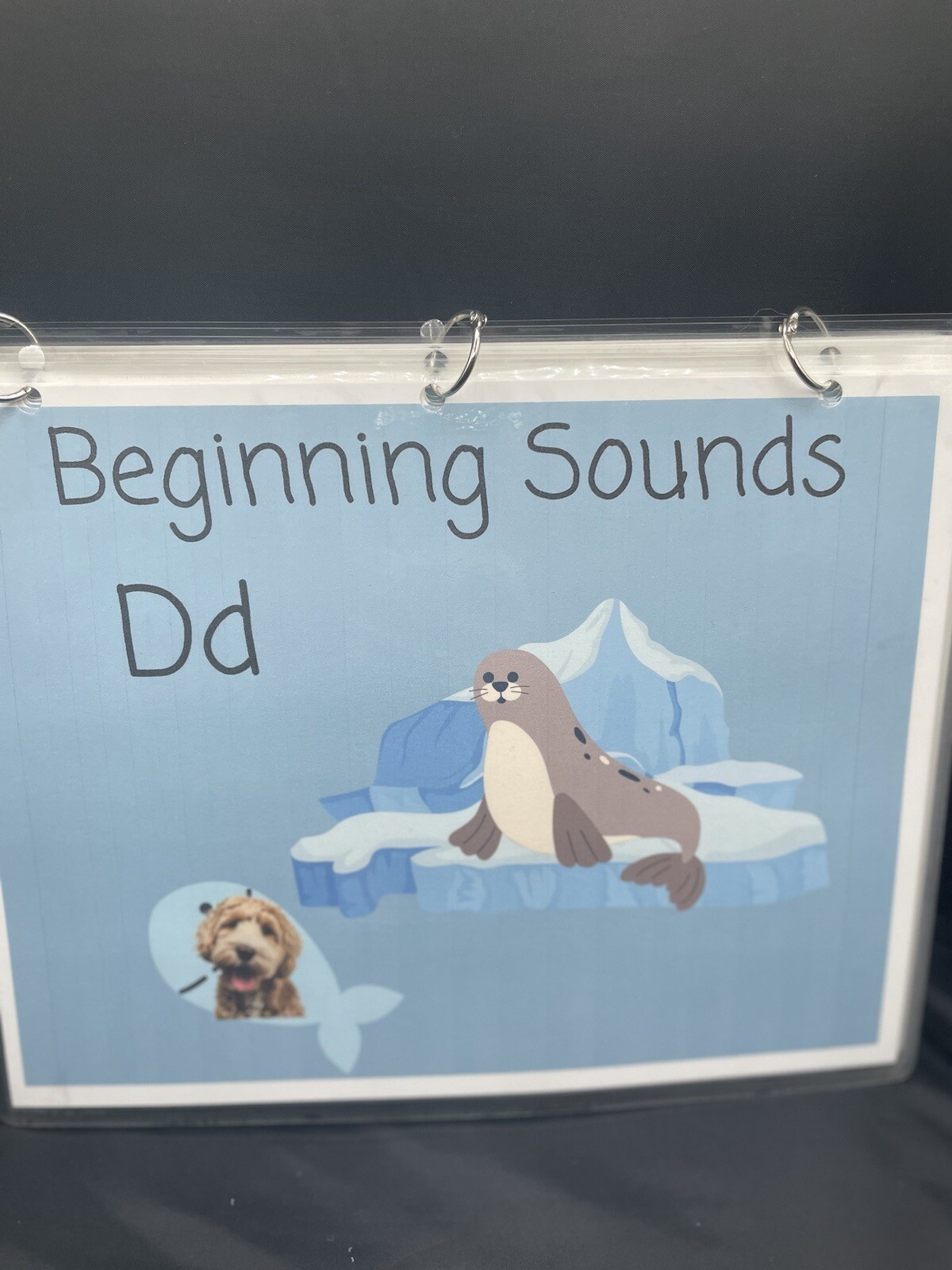Beginning Sounds Reading Phonics Activity Busy Book Game Educational Children’s