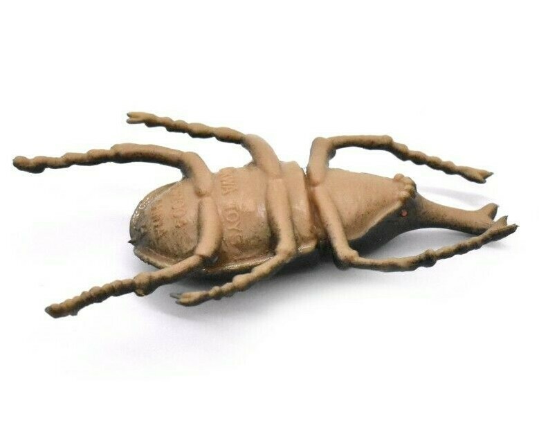 Elephant Beetle, Very Nice Rubber Reproduction 2″ CWG12 B13