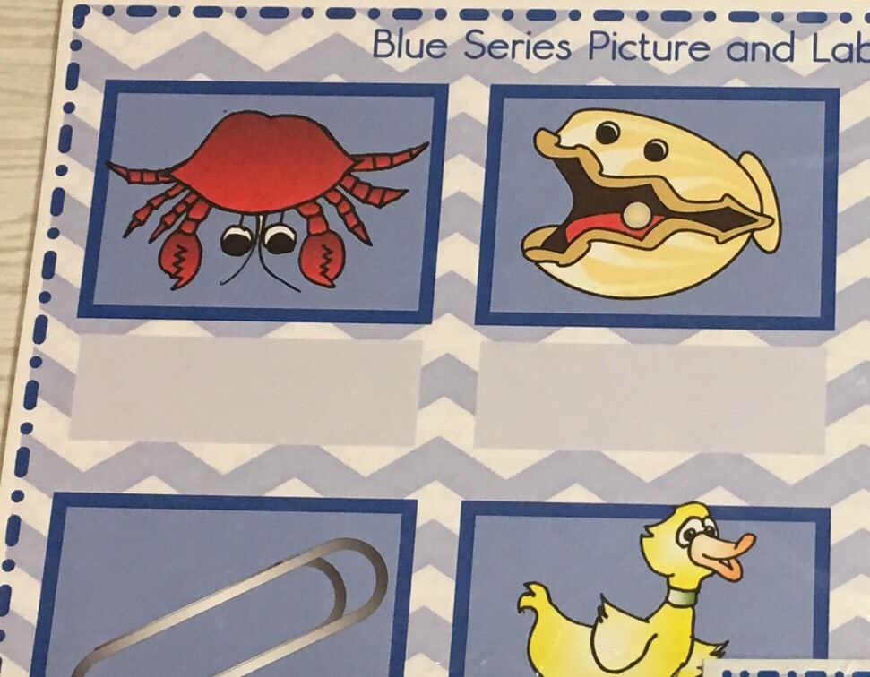 The Blue Series – Pictures And Word Label Work mats – Montessori