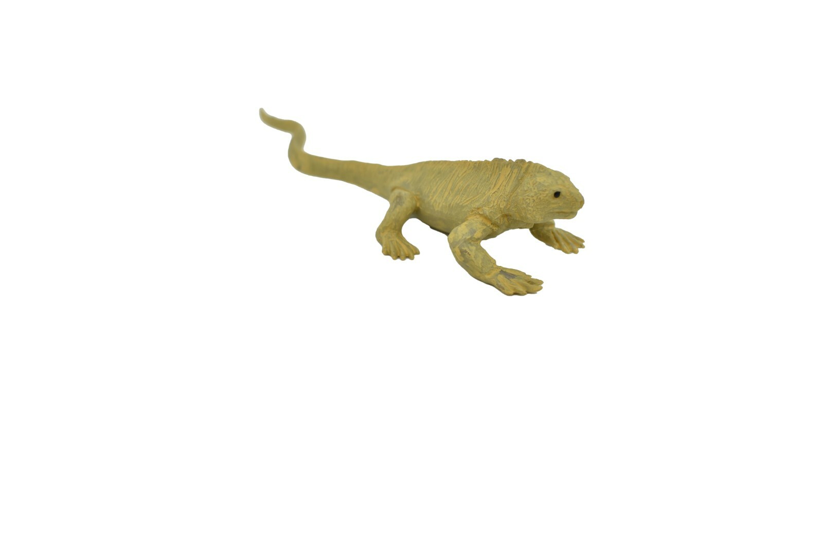 Iguana, Land Galapagos Islands Plastic Replica 4-inch plastic – F1525 B150