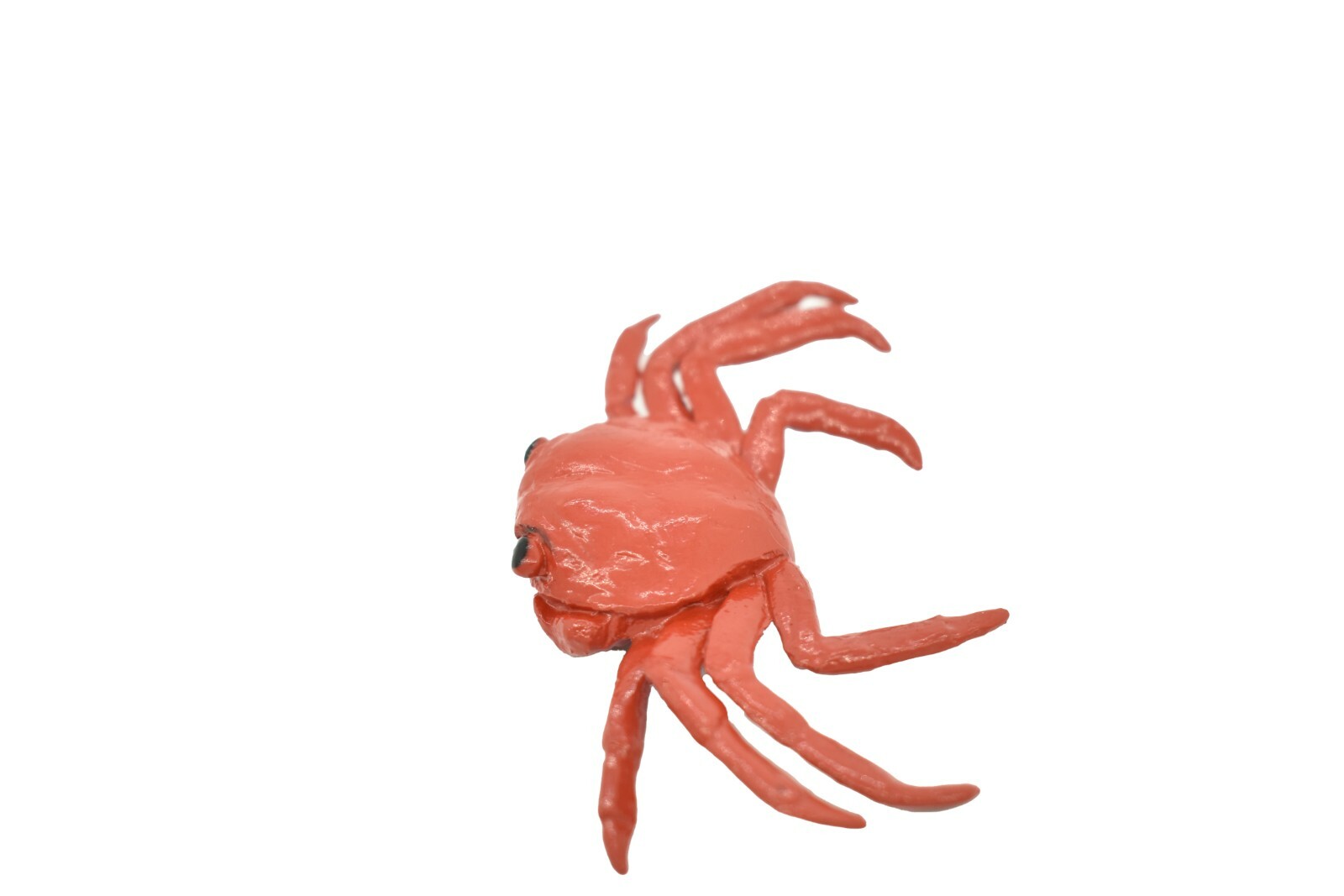 Crab Sally Lightfoot, Galapagos Islands, Plastic Replica 2″ F1591 B150