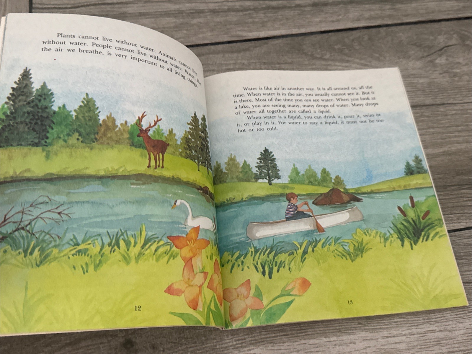 9 Educational Books Highlights Puzzle Buzz I Can Draw Animals Little Leap Book