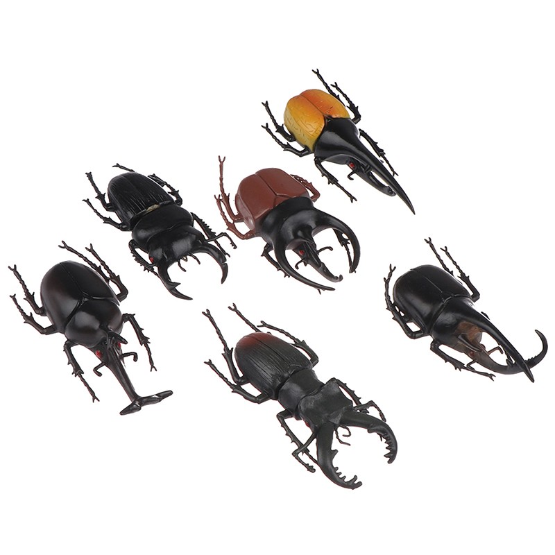 Simulation beetle Toys Special Lifelike Model insect Toy teaching aids joke QH