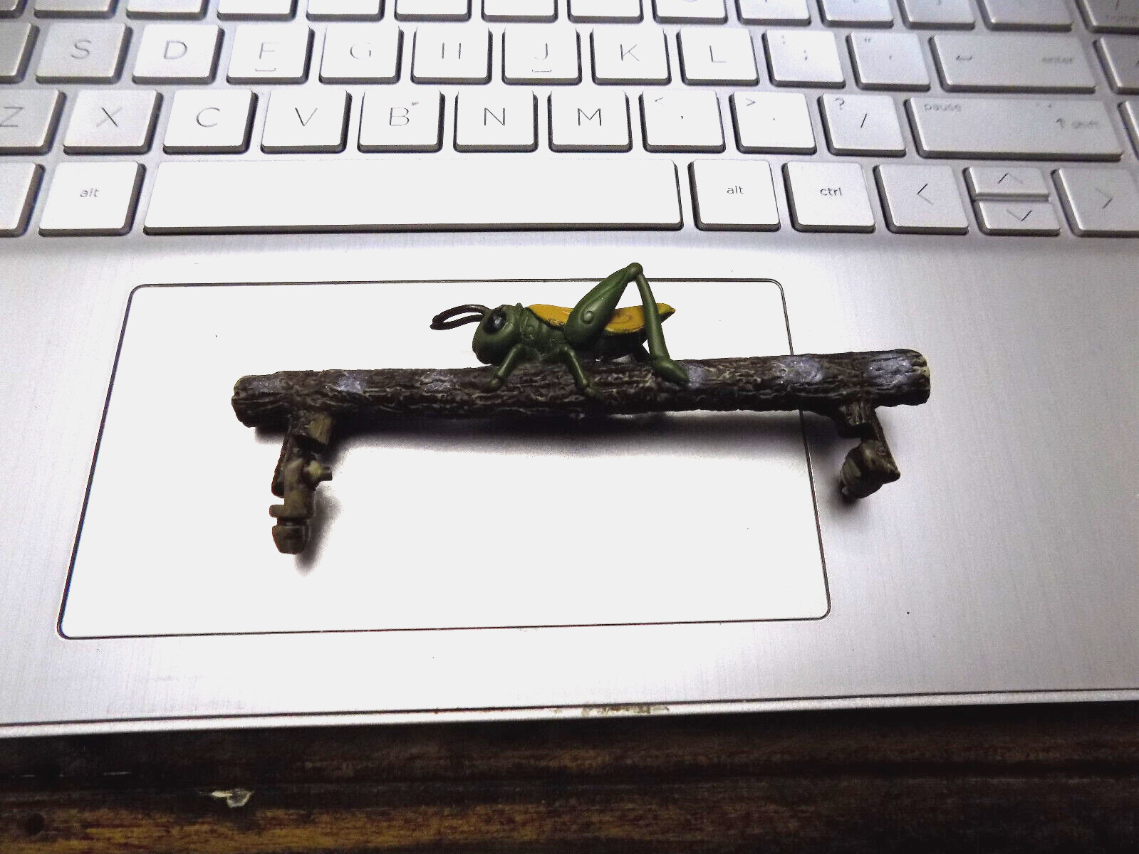 Cricket Bug on Branch Replacement Piece Figure Model Replica Realistic Diorama