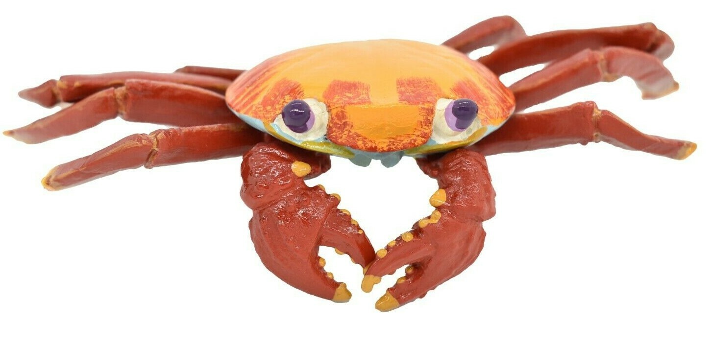 Crab Sally Lightfoot, Galapagos, Museum Quality Replica 7″ – F1769 B142
