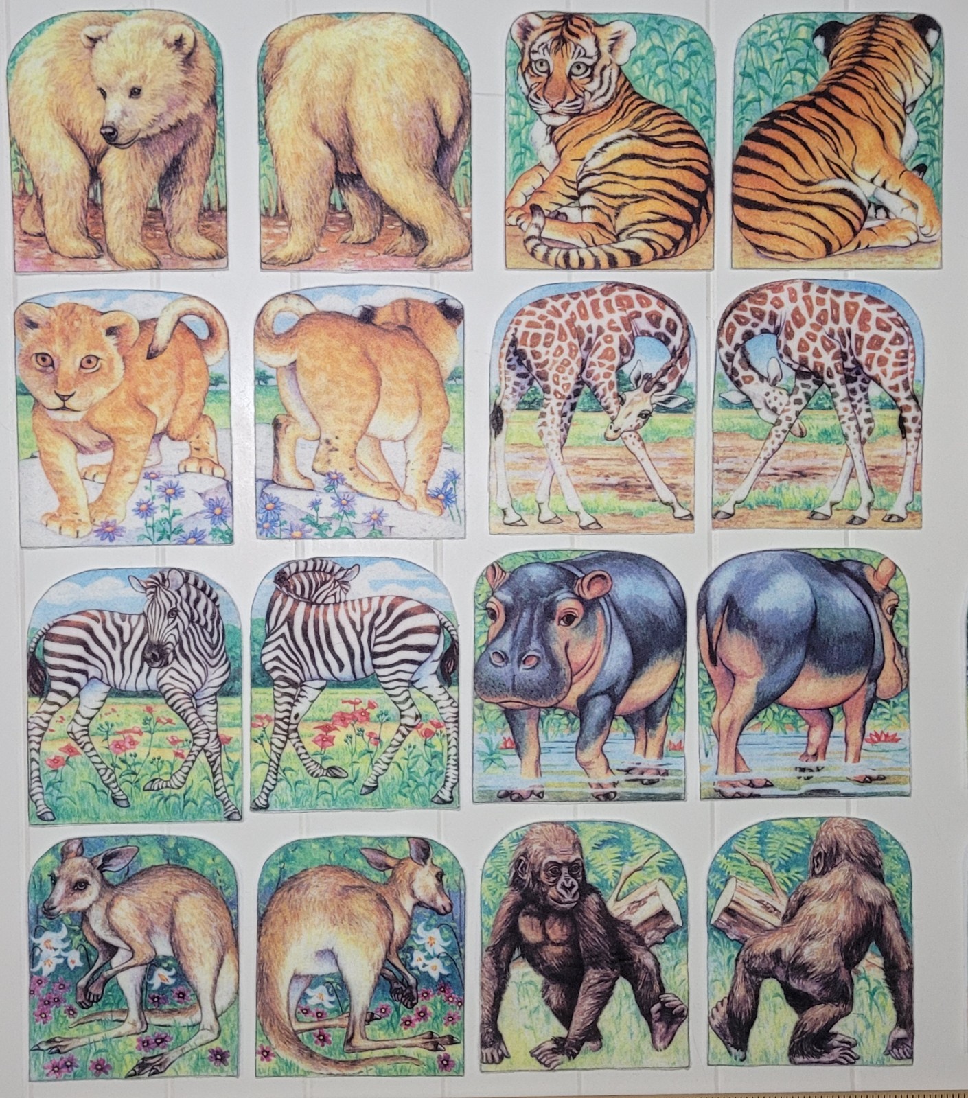 ​PRE-CUT Mixed Lot 7 Felt Flannel Board Story Sets Zoo Babies Rapunzel Bible