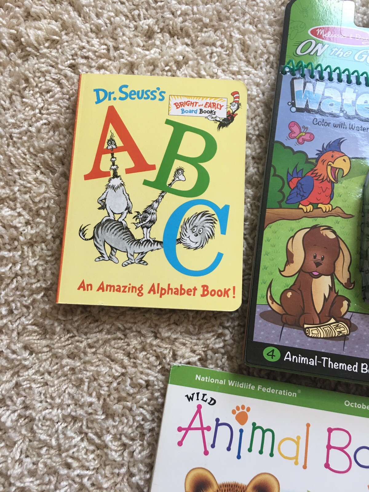 Lot 5 kids books and melissa & doug water resistant pad