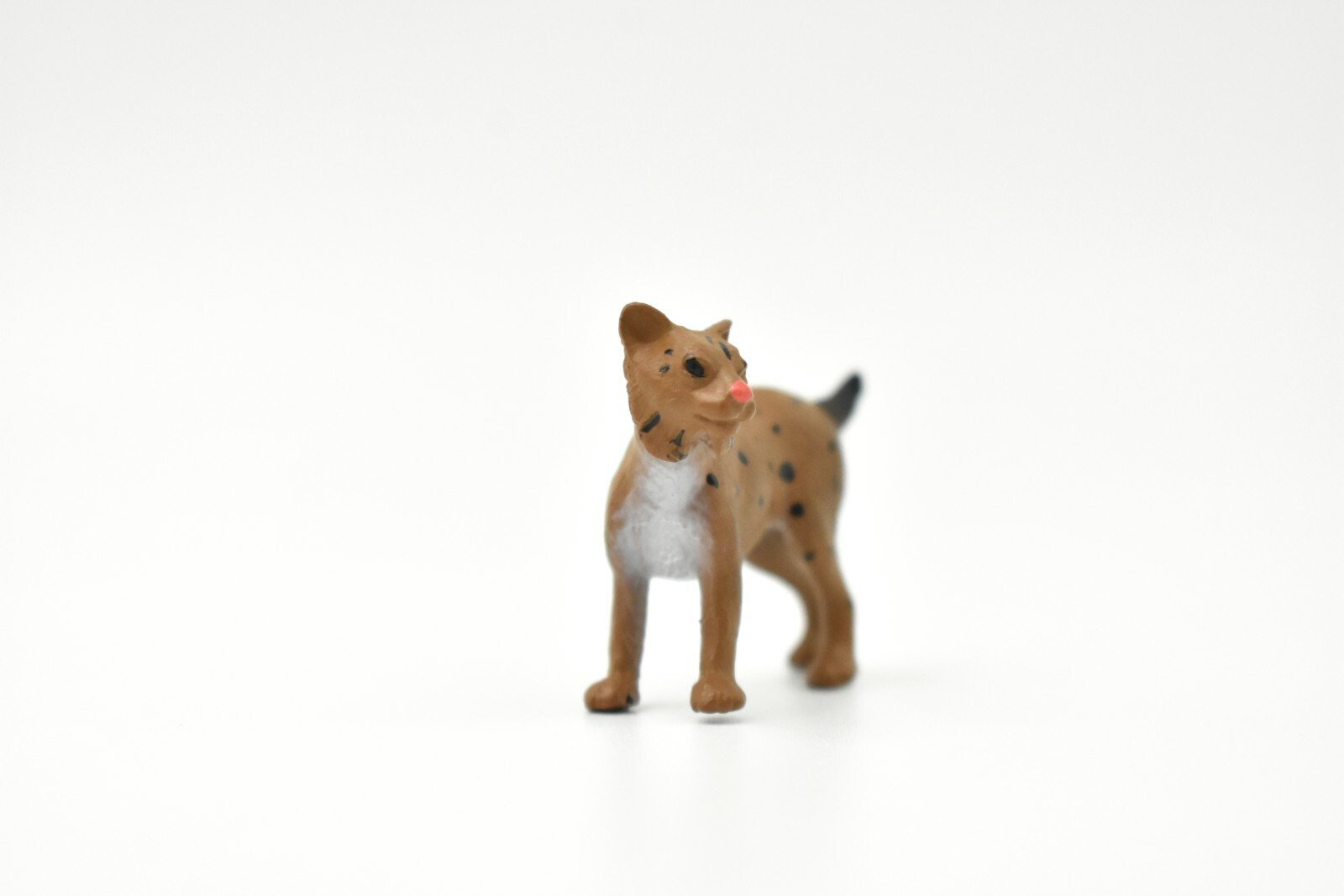 Bobcat, Cub Plastic Replica 2-inch – F1511 B103