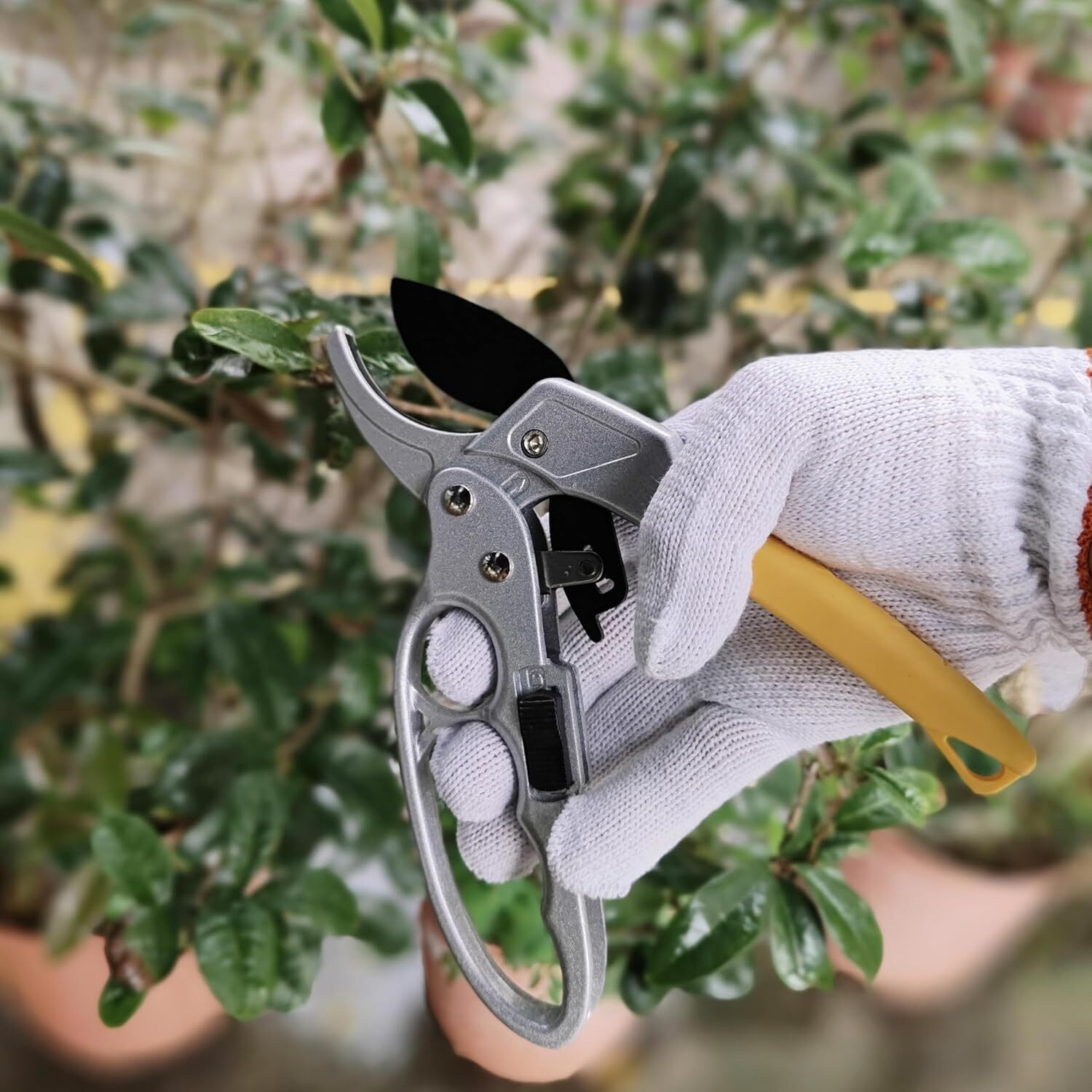 Fruit tree gardening scissors,Pruning Shears for Gardening Garden Hand Shears