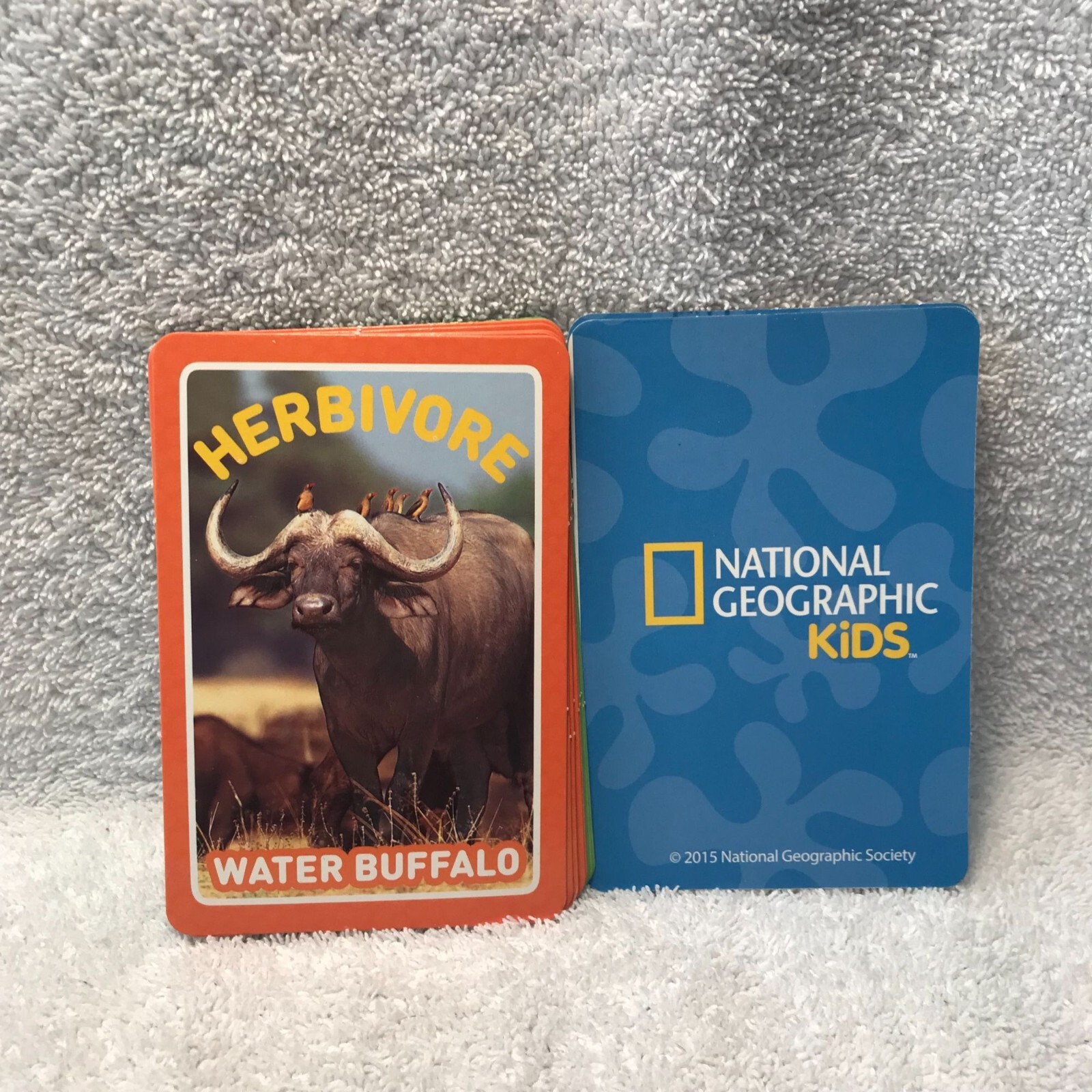 National Geographic Kids Food Chain Card Game – 34 Cards Learn While Having Fun