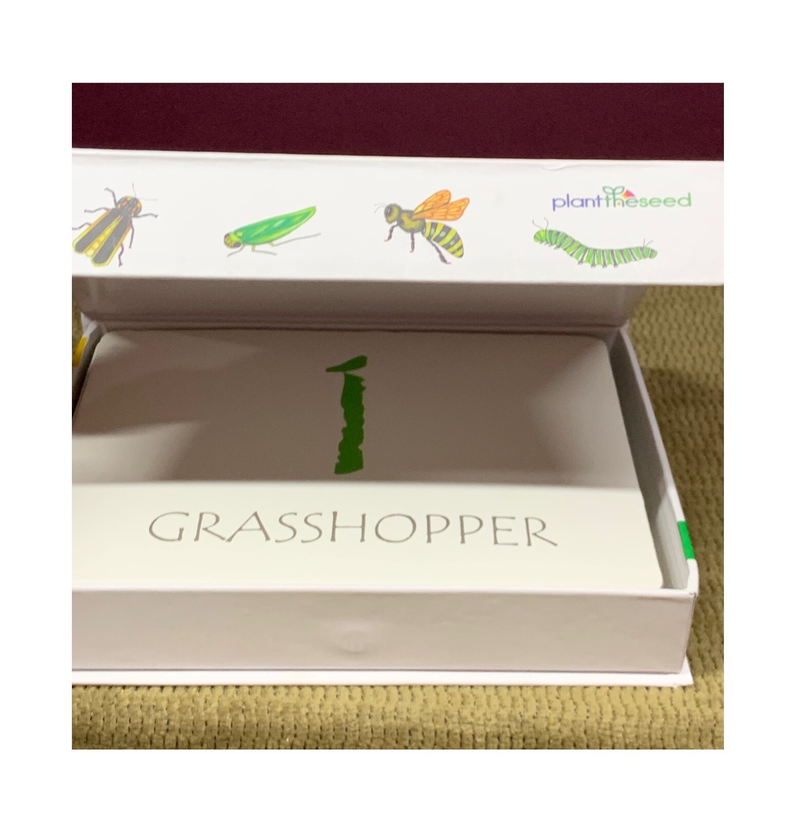 THICK EDUCATIONAL FLASH CARDS COUNTING 1 – 10 & LEARNING INSECTS AS YOU GO ALONG