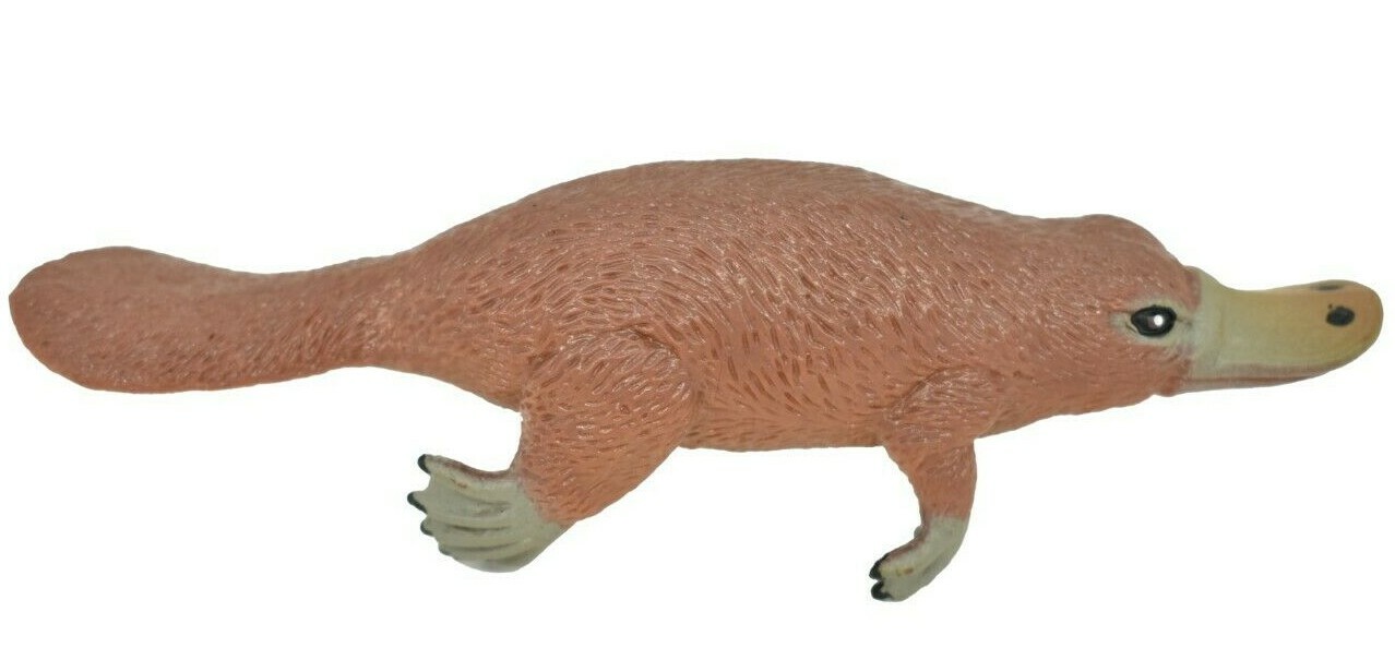 Platypus, ~ Very Nice Plastic Replica 3 1/2″ ~ F1091-B170