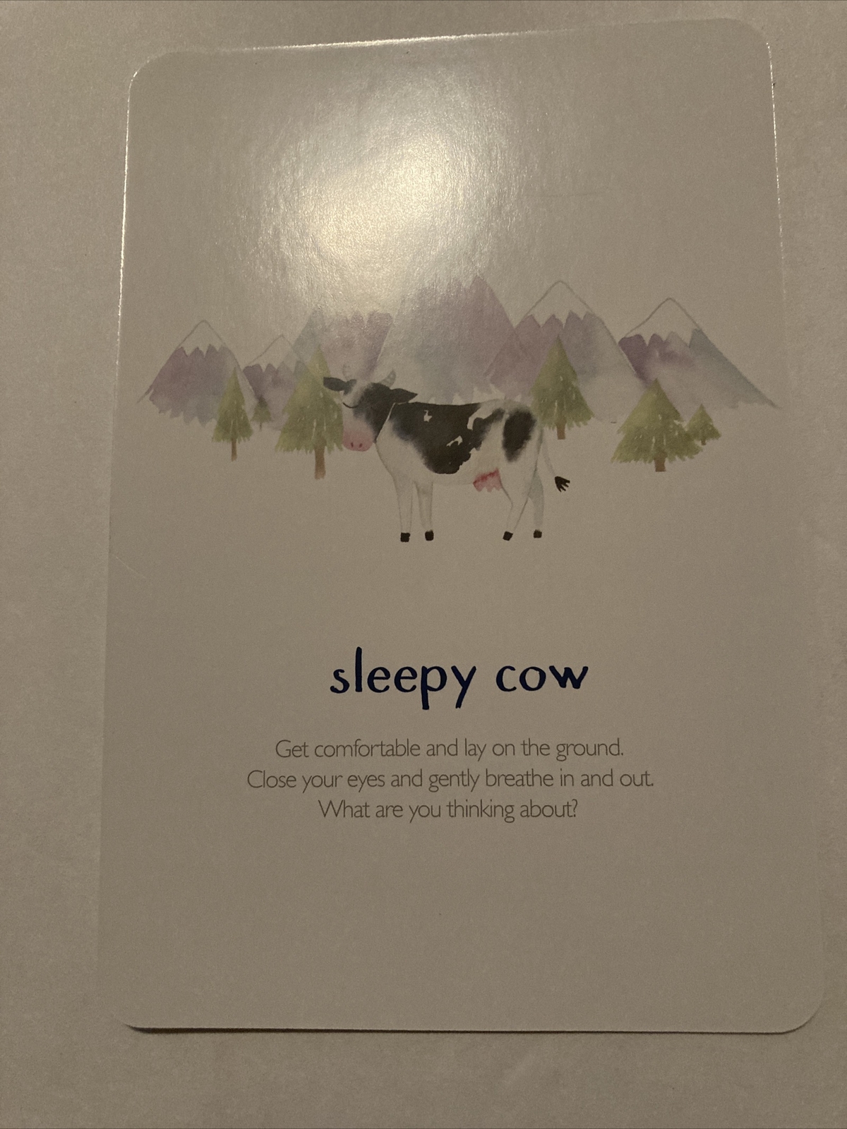 LITTLE RENEGADES Mindful Kids Cards Everyday Exercises Mindfulness Stillness….