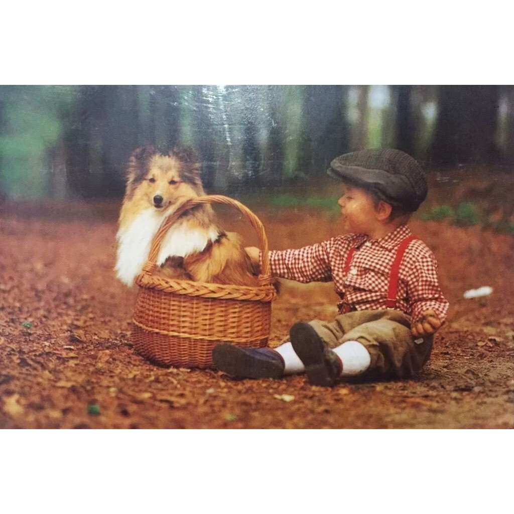 500 Pcs Jigsaw Puzzles Cute Puppies Size 53 x 38cm Toy Education Learning Game