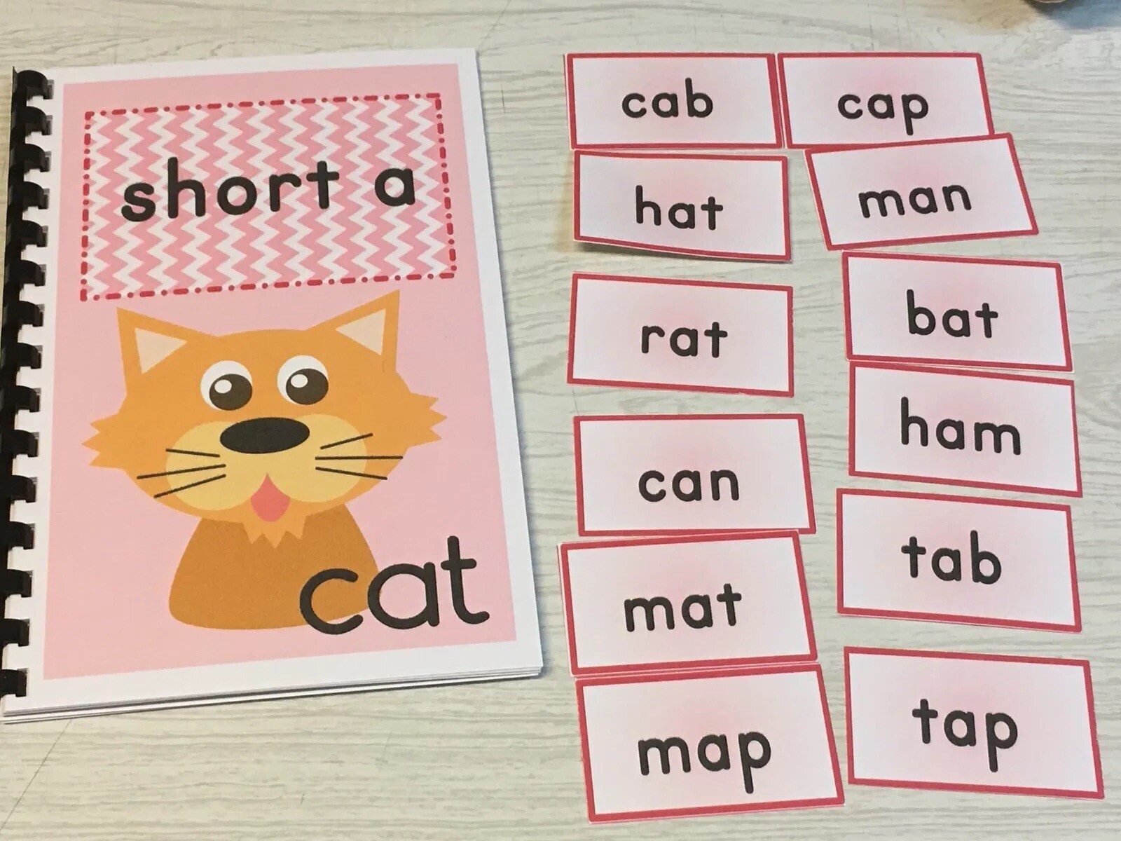 Interactive Learning Books for Children – Short “a” book – w/ 12 Laminated Cards