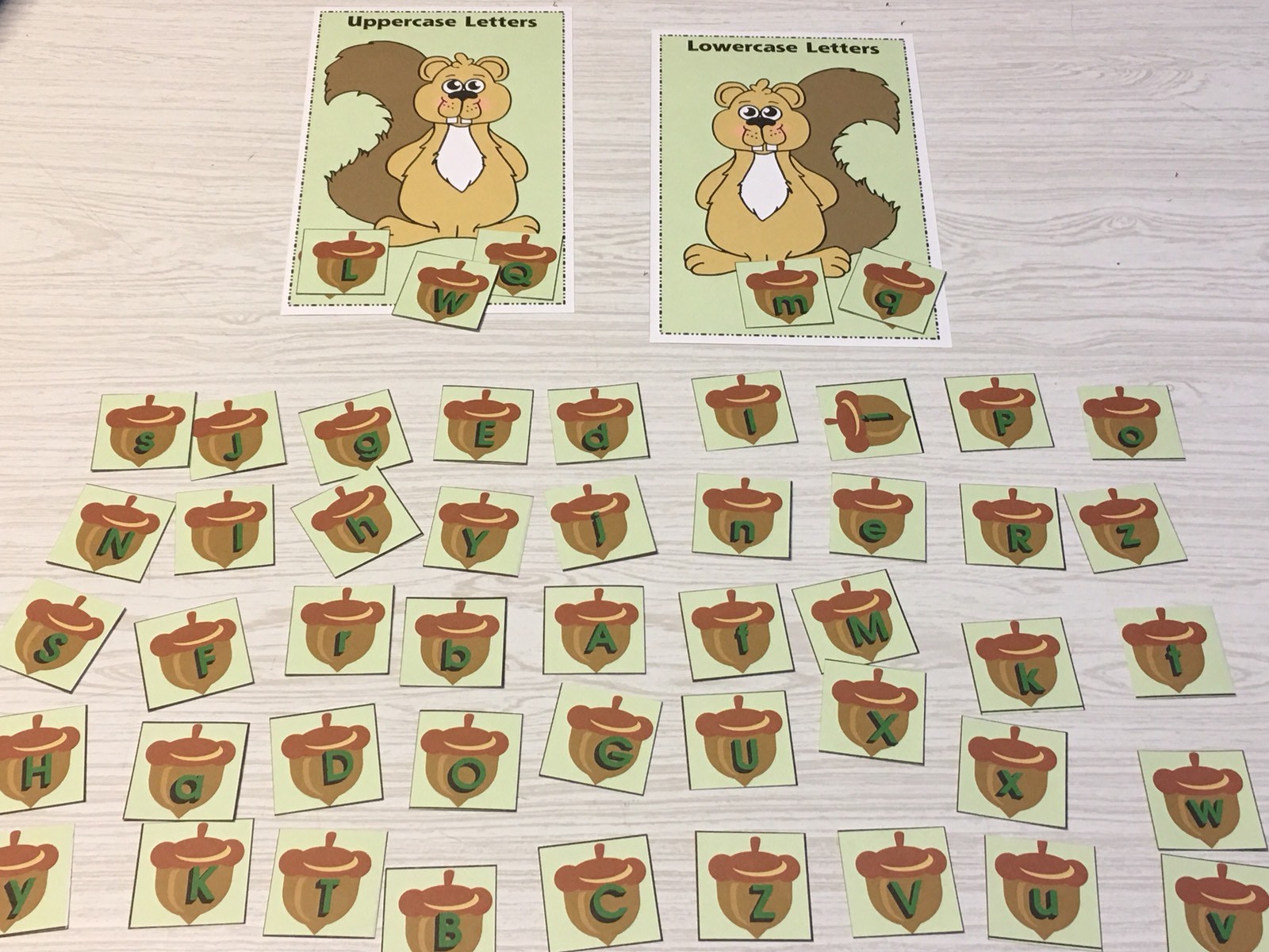 Squirrel’s Acorn Sort – Uppercase Lowercase -Laminated Activity Set