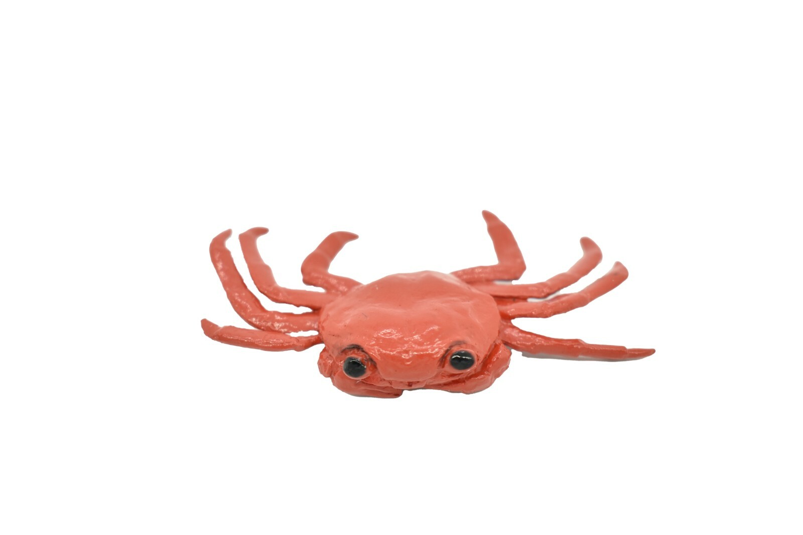 Crab Sally Lightfoot, Galapagos Islands, Plastic Replica 2″ F1591 B150