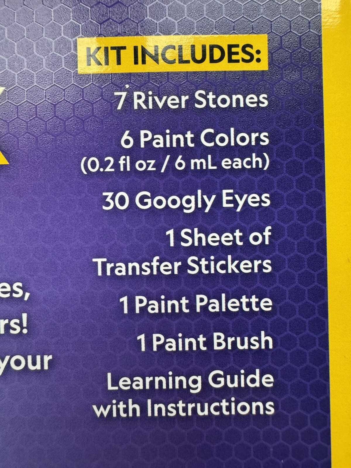 National Geographic River Rock Craft Kit Everything Included STEAM Educational