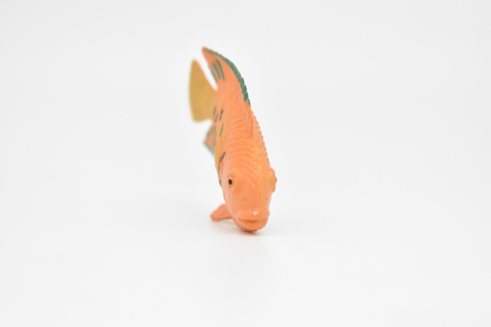Angelfish Toy, Flame Ciclid, Realistic Tropical Fish, Plastic Replica 2″ CWG273