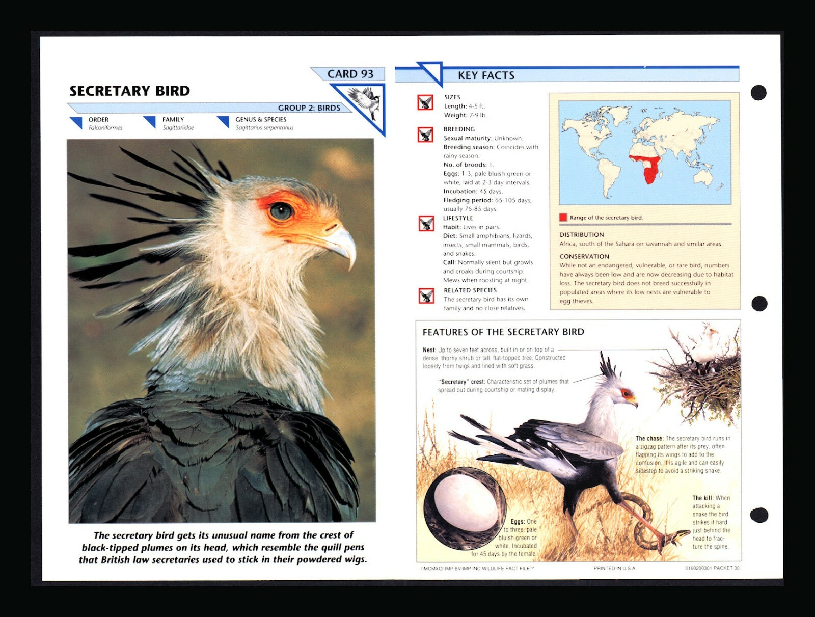 Secretary Bird Wild Life Fact File Bird Animal Card Home School Study 2.93