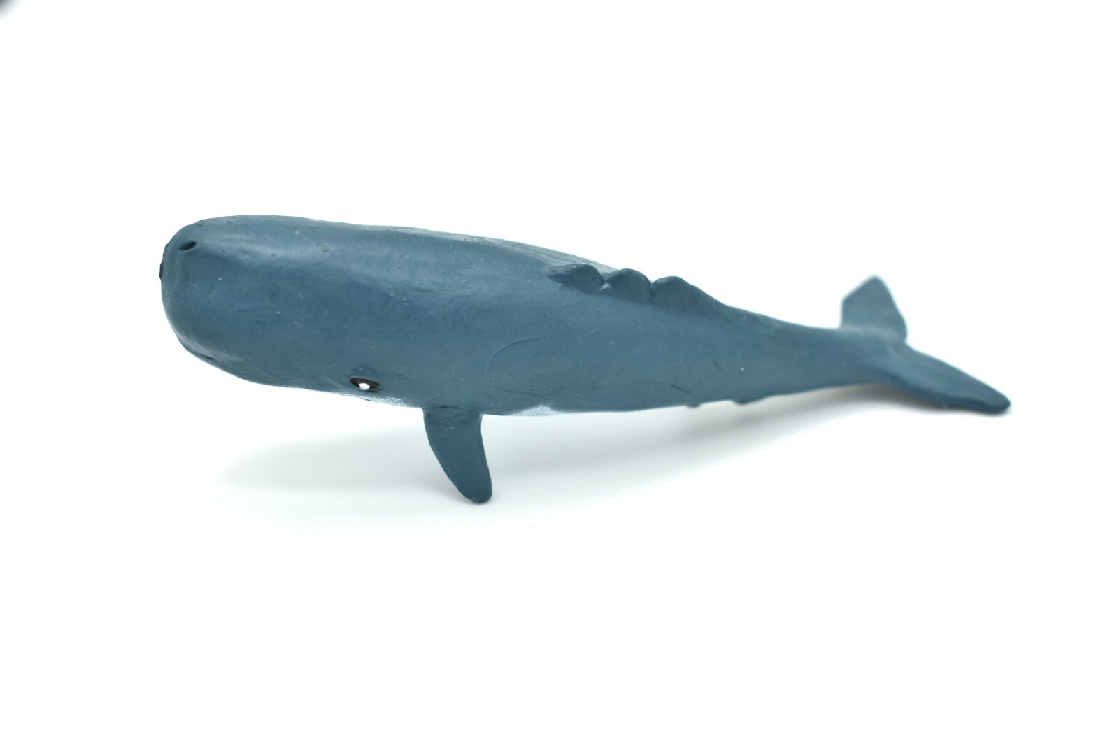 Sperm Whale Plastic Replica 3Long ~ F3909-B9
