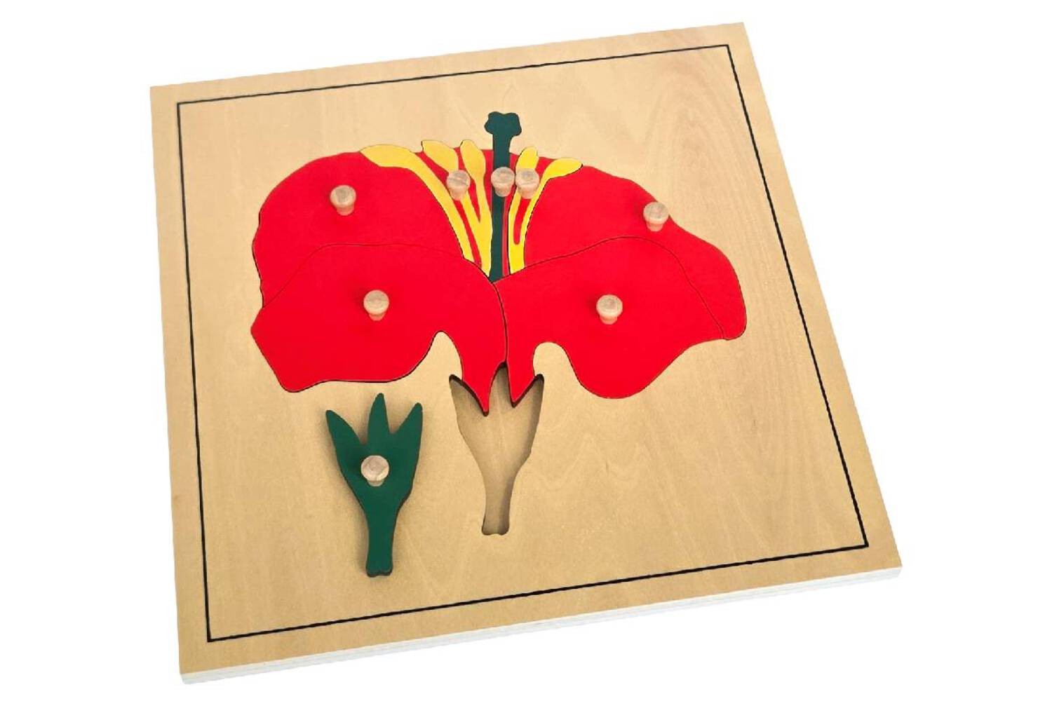 Flower Puzzle – MONTESSORI BIOLOGY / BOTANY MATERIALS