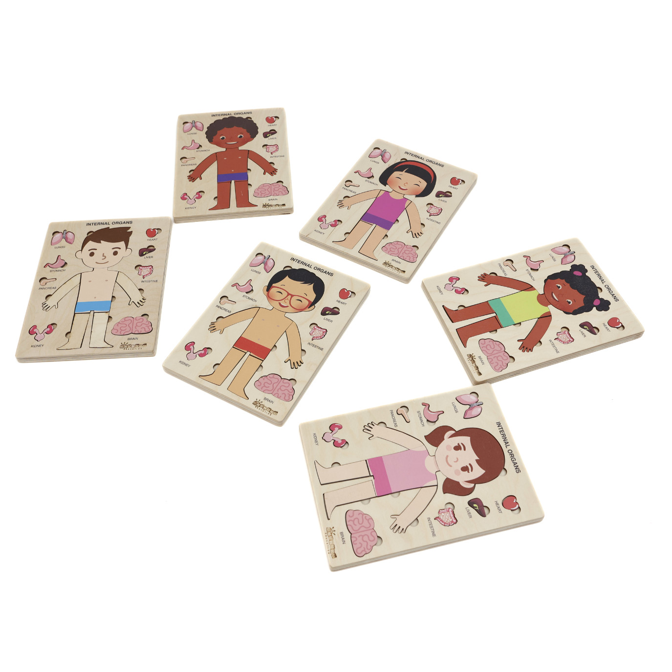 Montessori Wooden Human Body Puzzle – Organs & Stand, STEM Educational (Ages 3+)