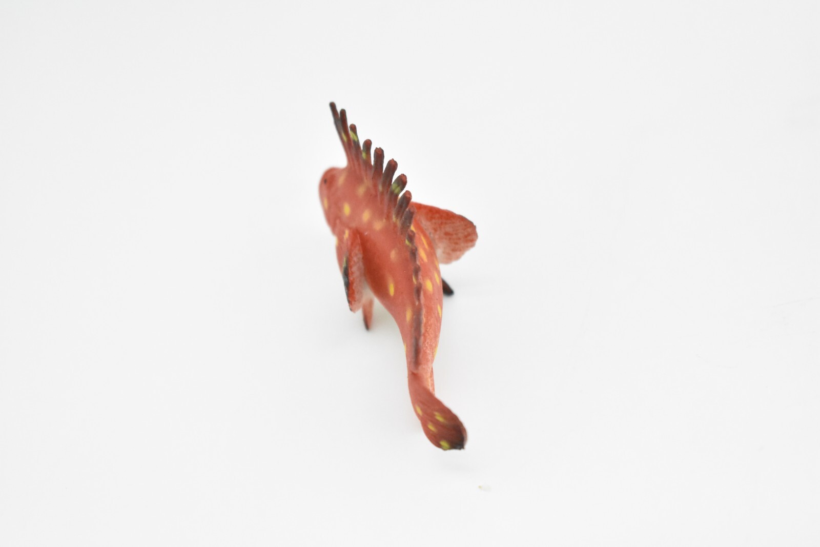 Spotted Kelpfish, Tropical Fish, Ocean, Plastic, Realistic Figure, CWG271B46