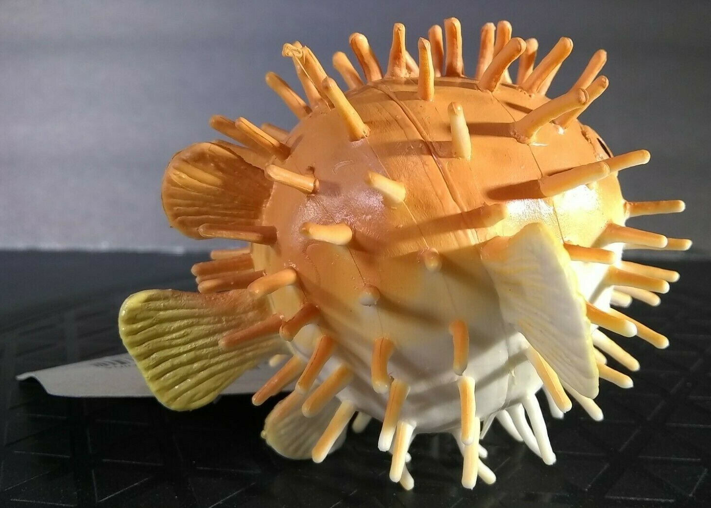 Boley Nature World Sea Creatures poisonous PufferFish Blowfish Ocean fish Brown