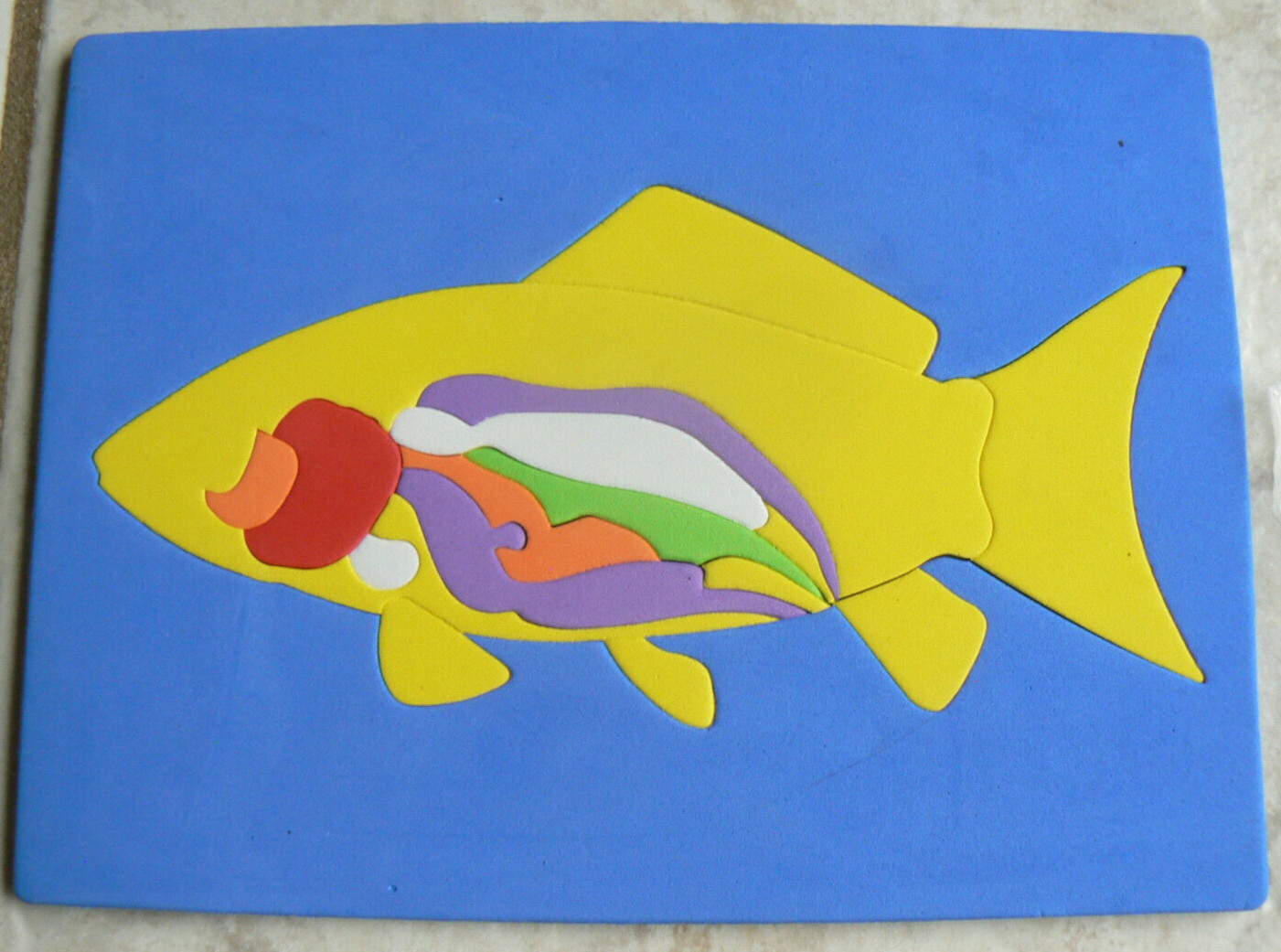 10″x7.5″ Parts of a Fish-Puzzle, Science, labeled, foam frame&pieces 1/4″ thick