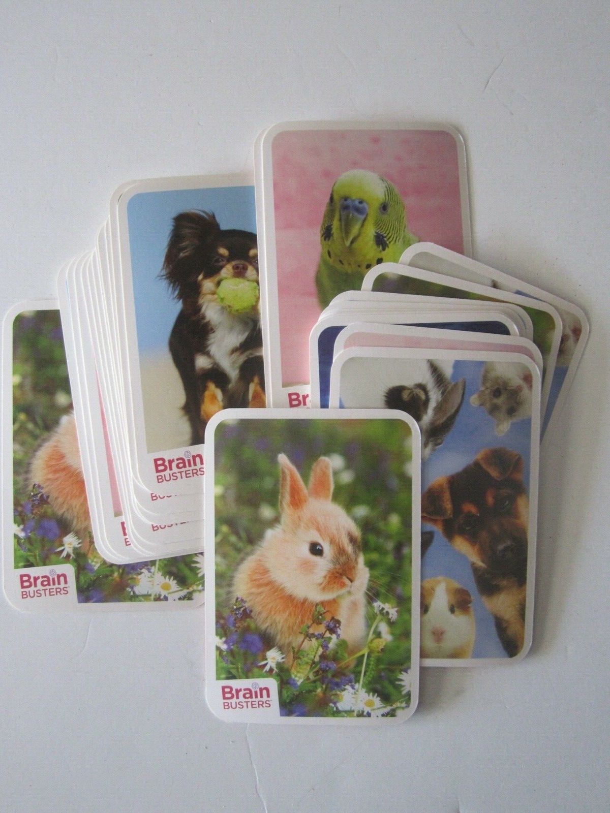 Brain Busters Gaming Cards – 31 Cards Each – Pets, Nature, Dinosaurs New!