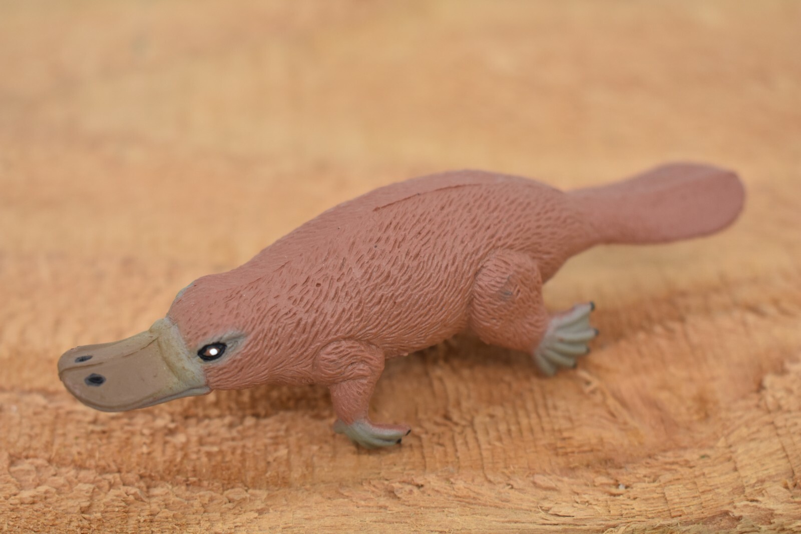 Platypus, ~ Very Nice Plastic Replica 3 1/2″ ~ F1091-B170