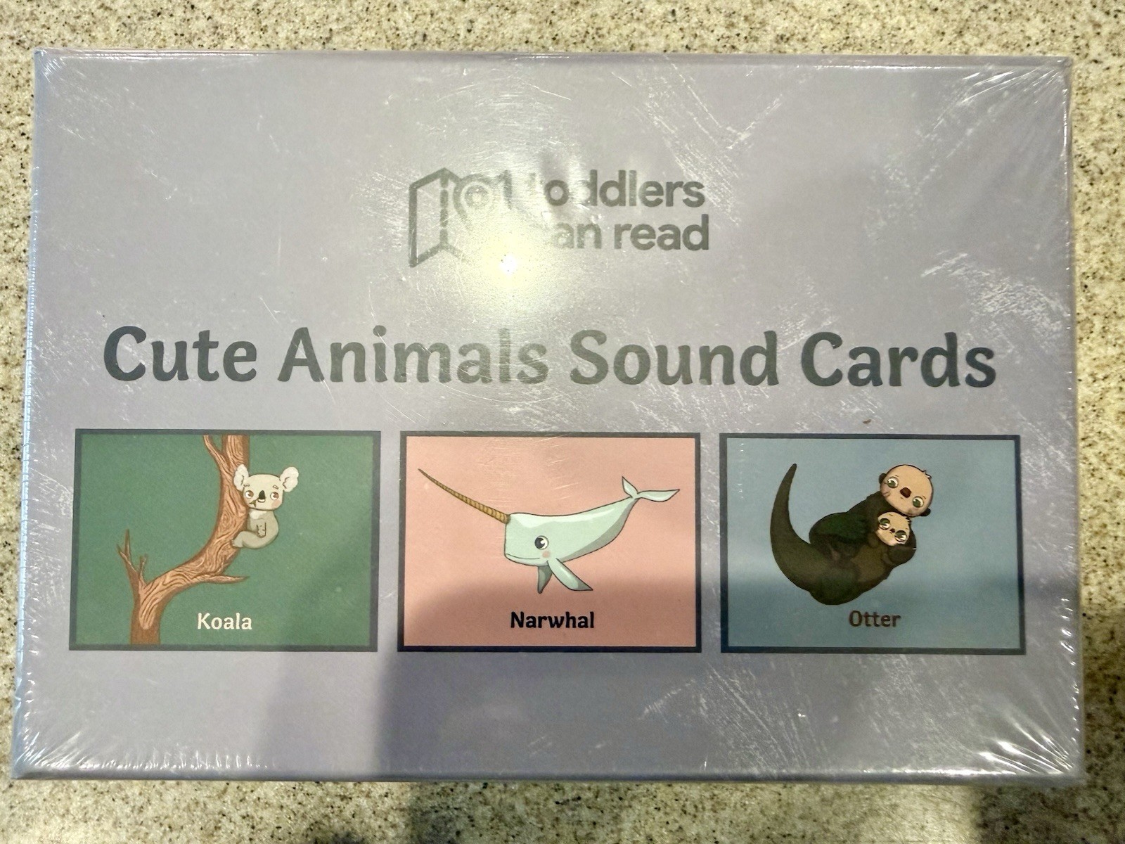 🔥Toddlers Can Read ABC Sound Flash Cards 🔥