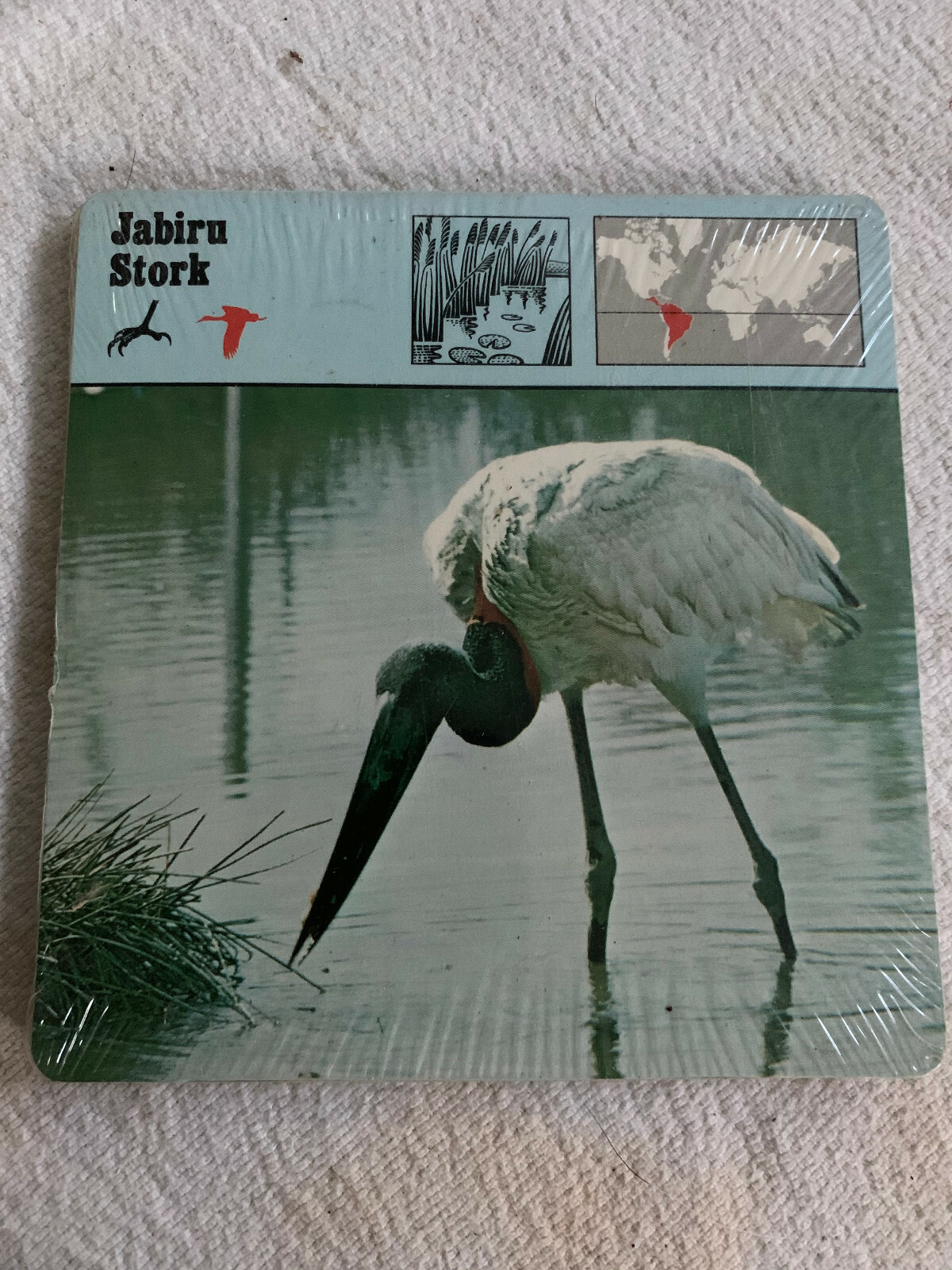 1977 Editions Rencontre S.A. Lausanne Animal Flash Cards Jabiru Stork 24-Pack