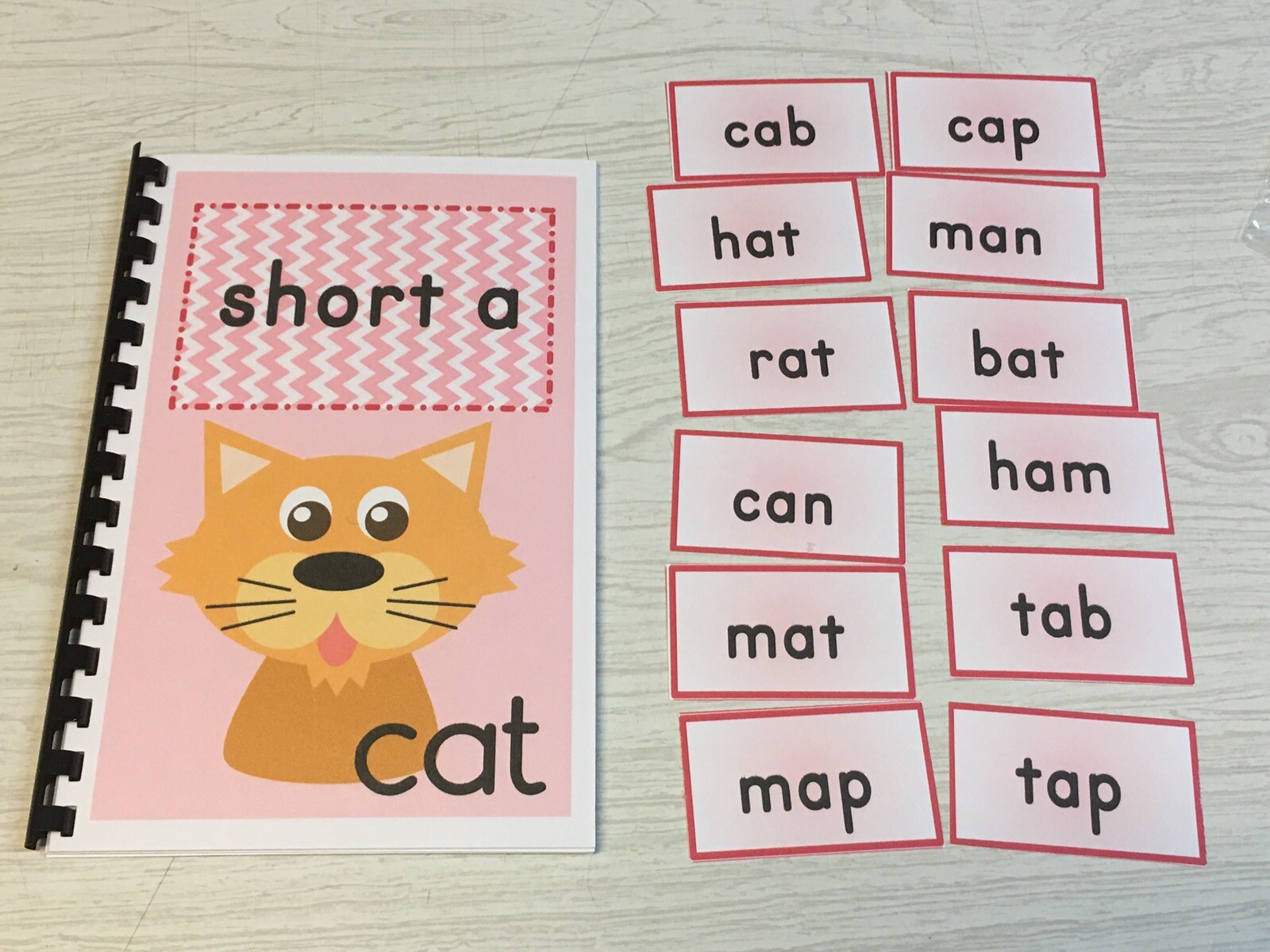 Interactive Learning Books for Children – Short “a” book – w/ 12 Laminated Cards