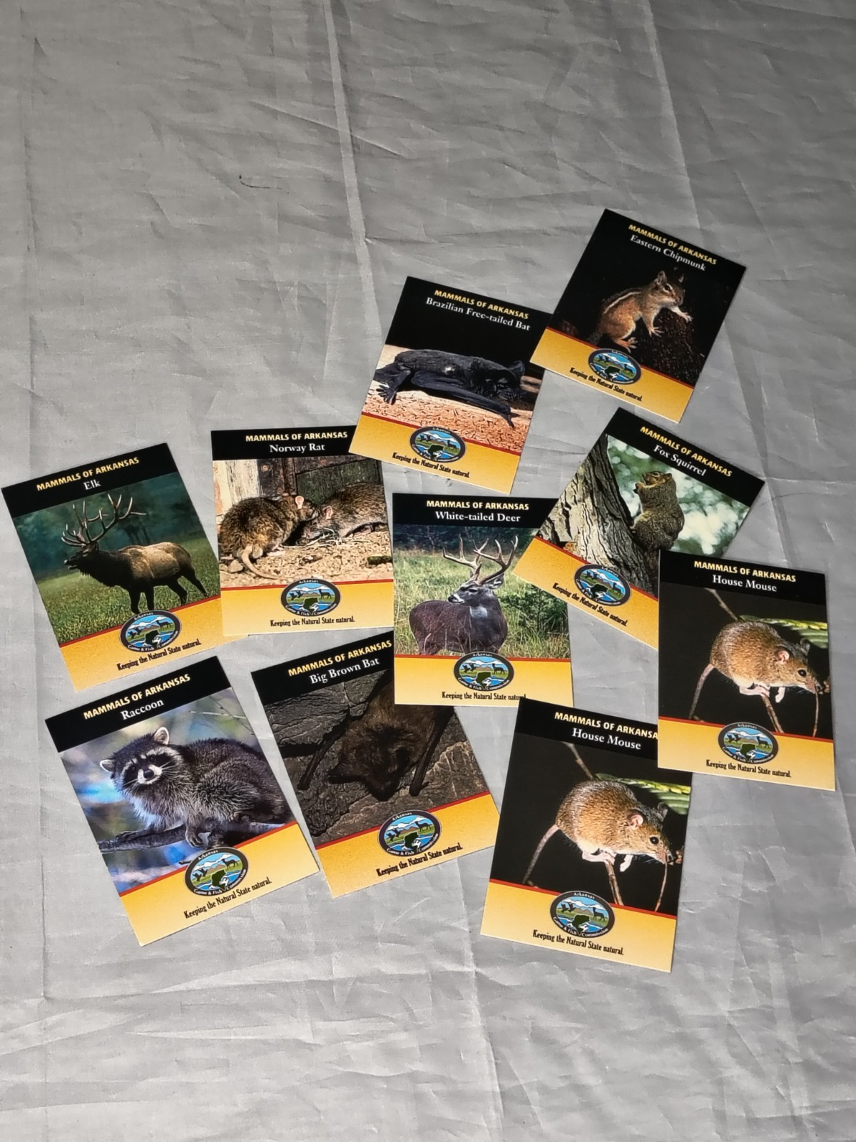 Random Lot Of 26 Cards Of Arkansas Game And Fish Mammal And Fish Informational