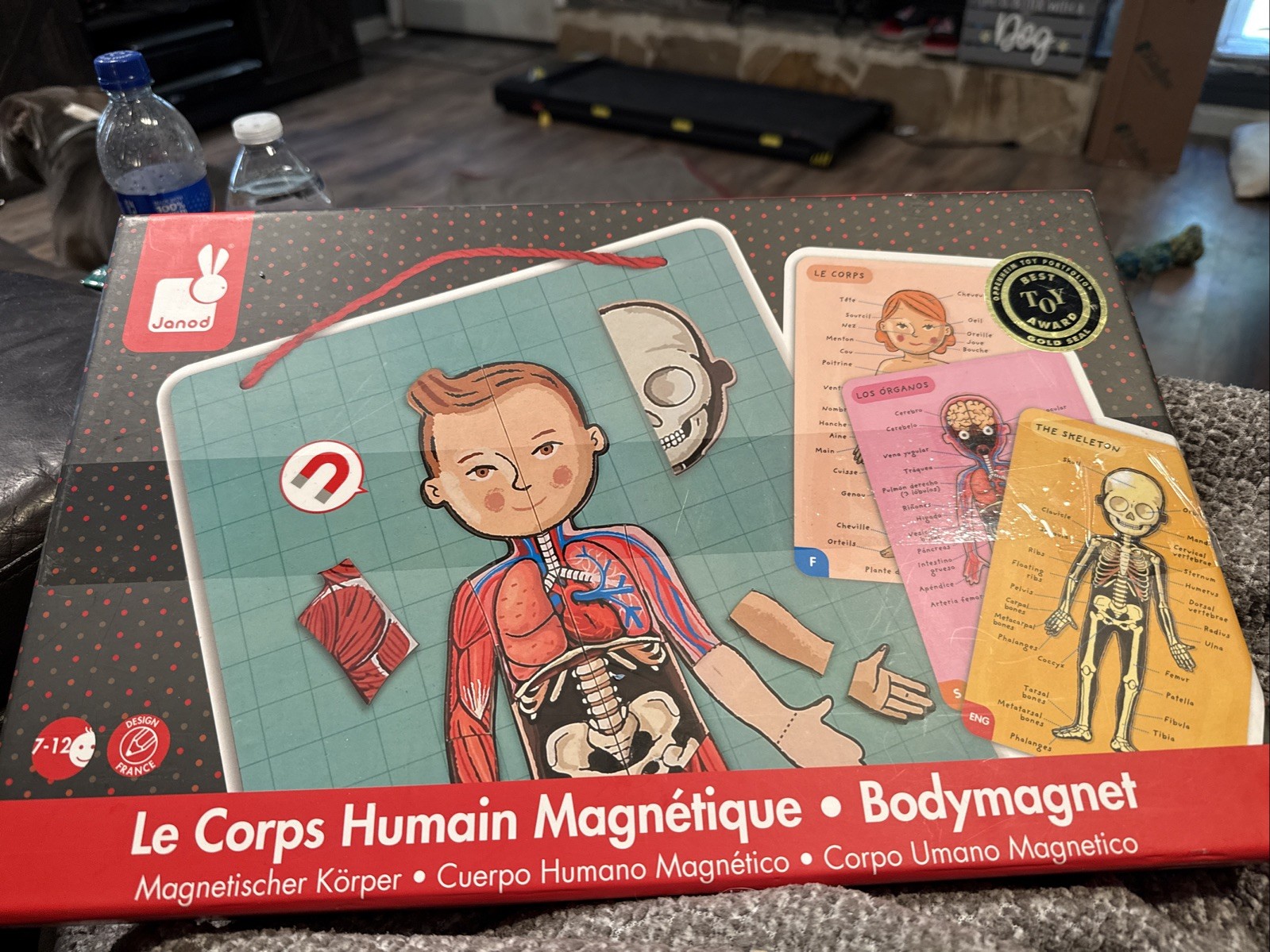 Kids educational playset – human body systems Oppenheim Toy Best Toy Award