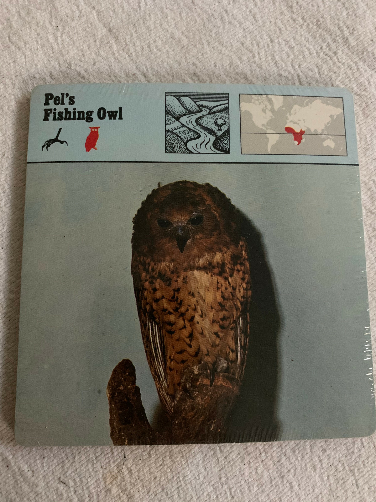 1977 Editions Rencontre S.A. Lausanne Animal Flash Cards Pel’s Fishing Owl Pack