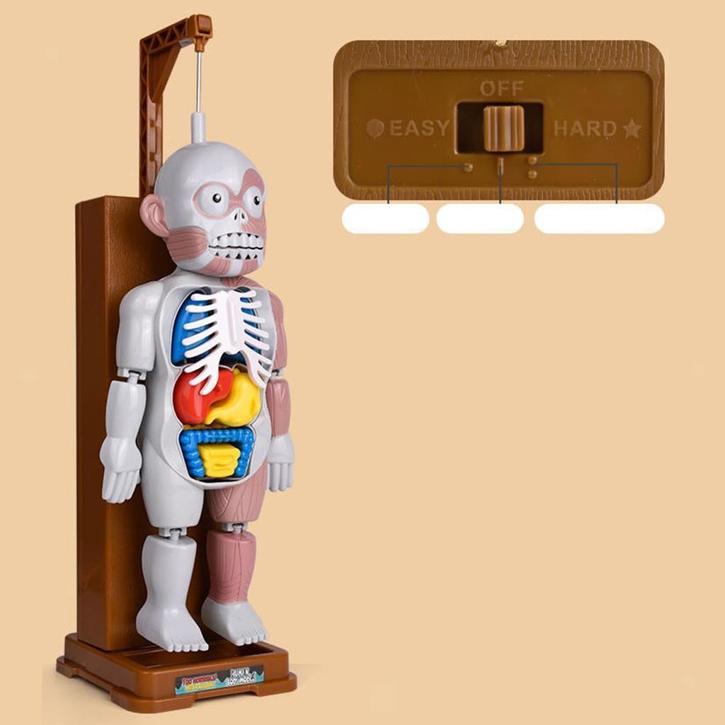 Human Body Model Playset Play Halloween Favors Party Gags Organs Skeleton