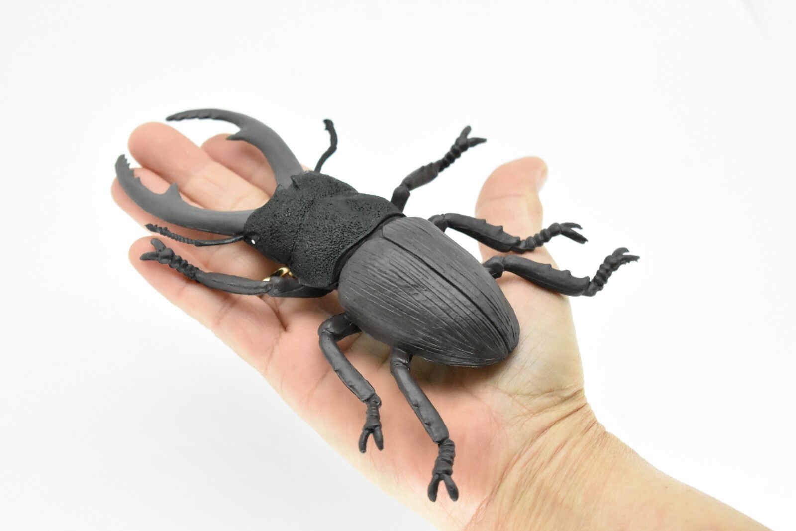 Beetle, Giant Stag, Very Nice Rubber Replica 6″ – CWG84 B153