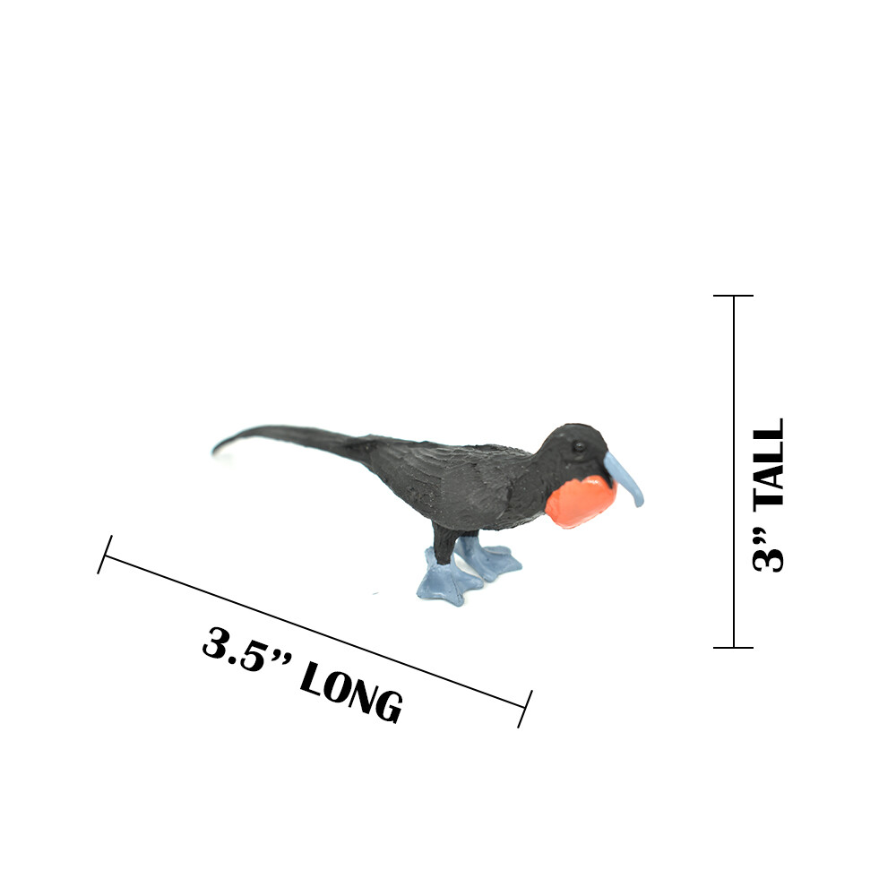 Frigatebird, Galapagos Islands Plastic Plastic Replica 3 1/2″ – F1526 B150