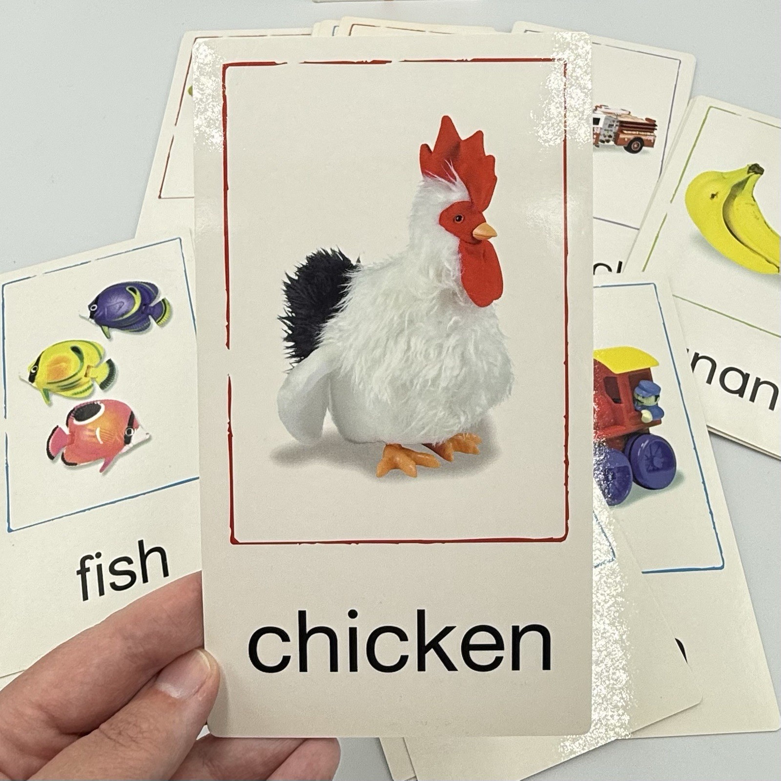 Baby Einstein Language Discovery Cards Educational Words Babies 1999 COMPLETE!