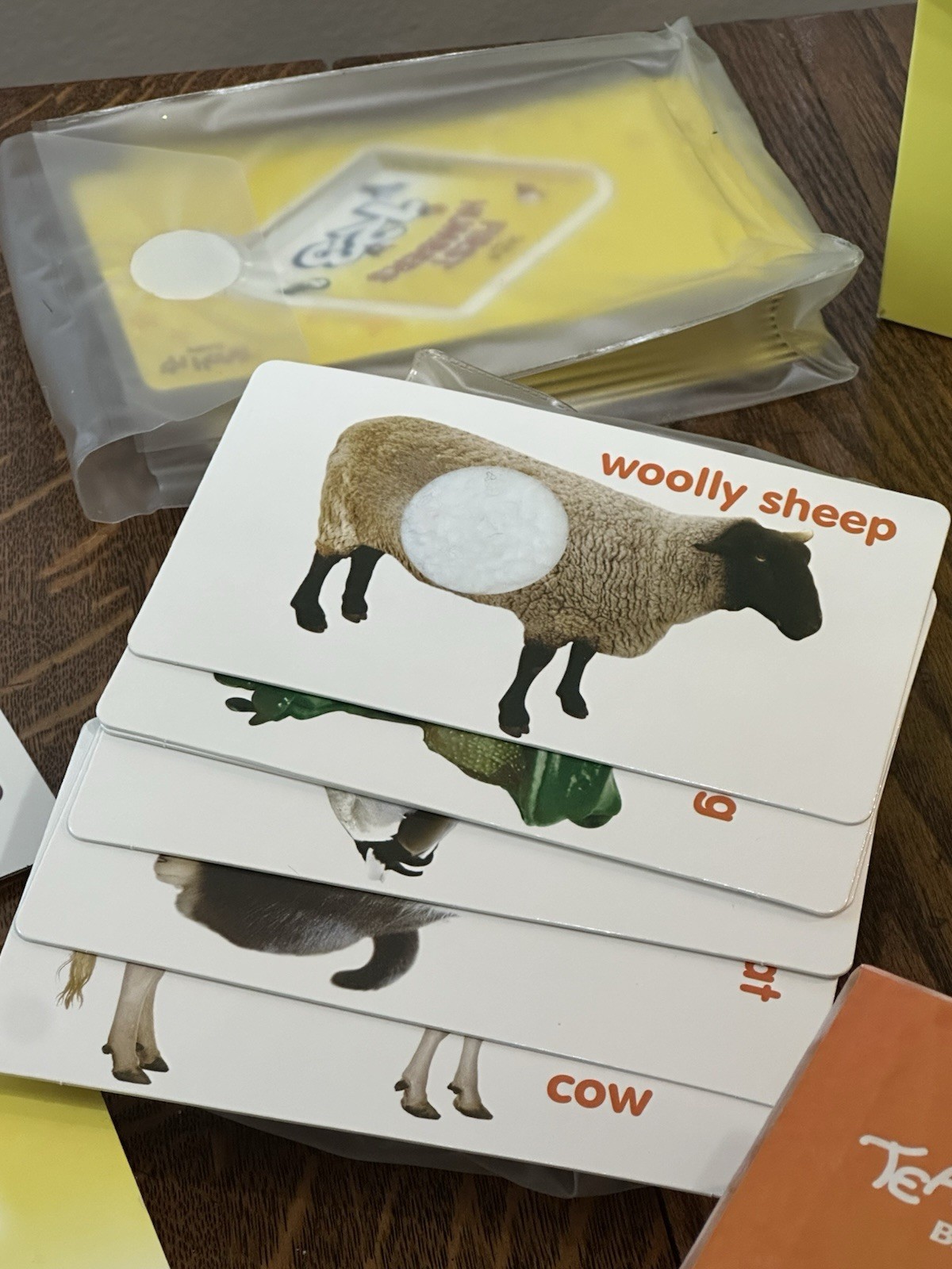 Teach My: Learning Kit – Baby, Guided Child Development, Baby and Toddler 6mo+