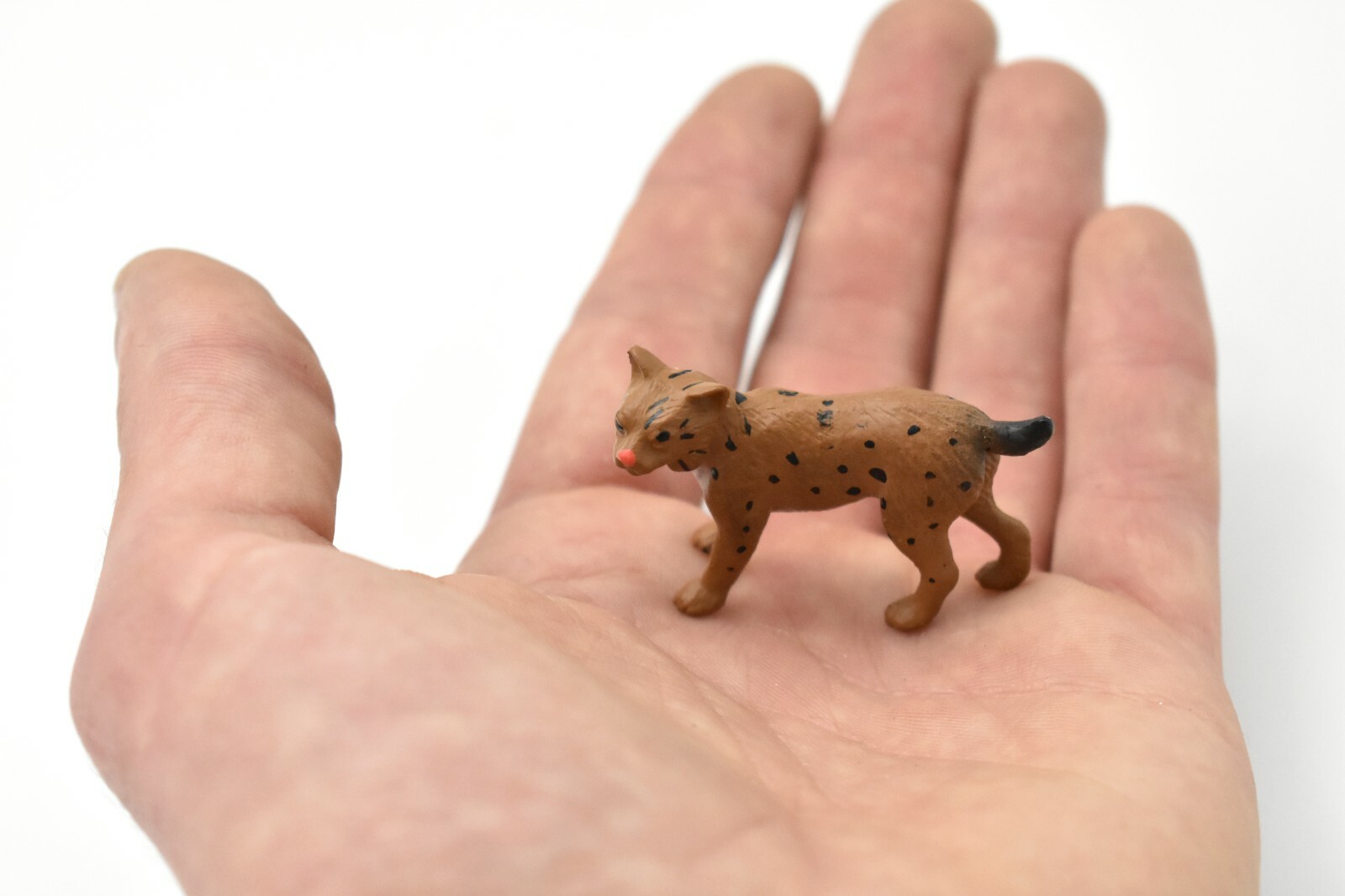 Bobcat, Cub Plastic Replica 2-inch – F1511 B103