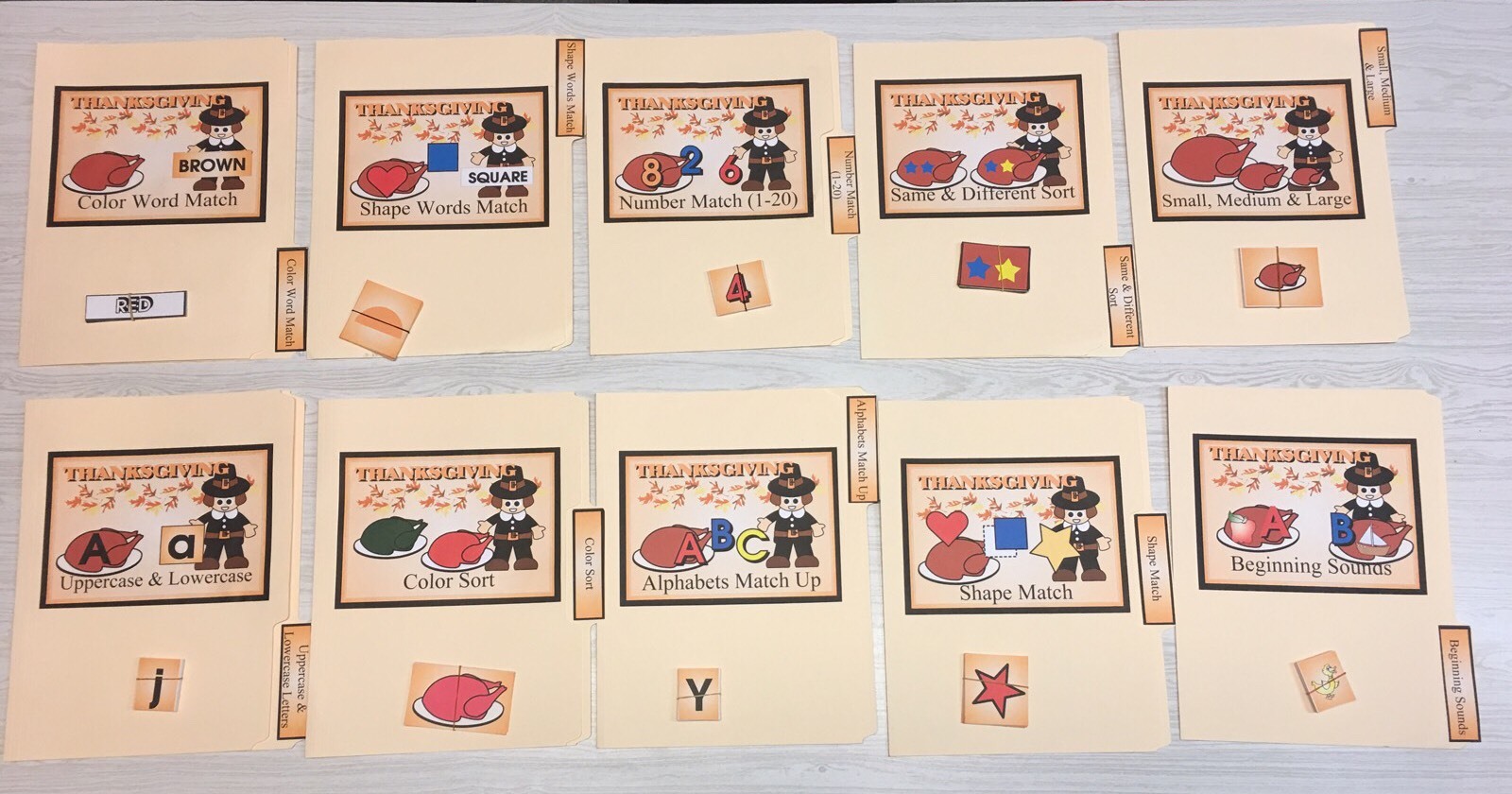 PRINTED DIY – 20 File Folder Set – Activity Set – Teaching – Complete Set