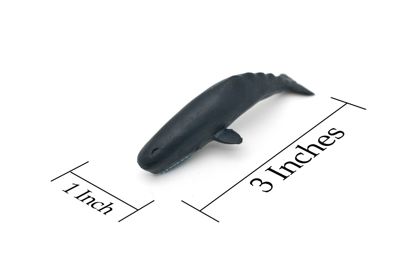 Sperm Whale, Very Nice Plastic Replica 3″ F1007 B42