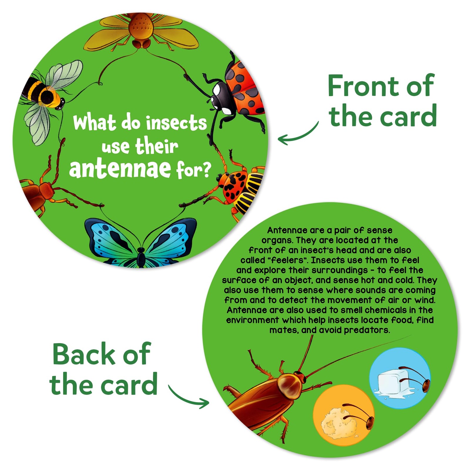 Skillmatics Flash Cards – Science 9.45 x 10.8 x 1.97 inches, Multicolor