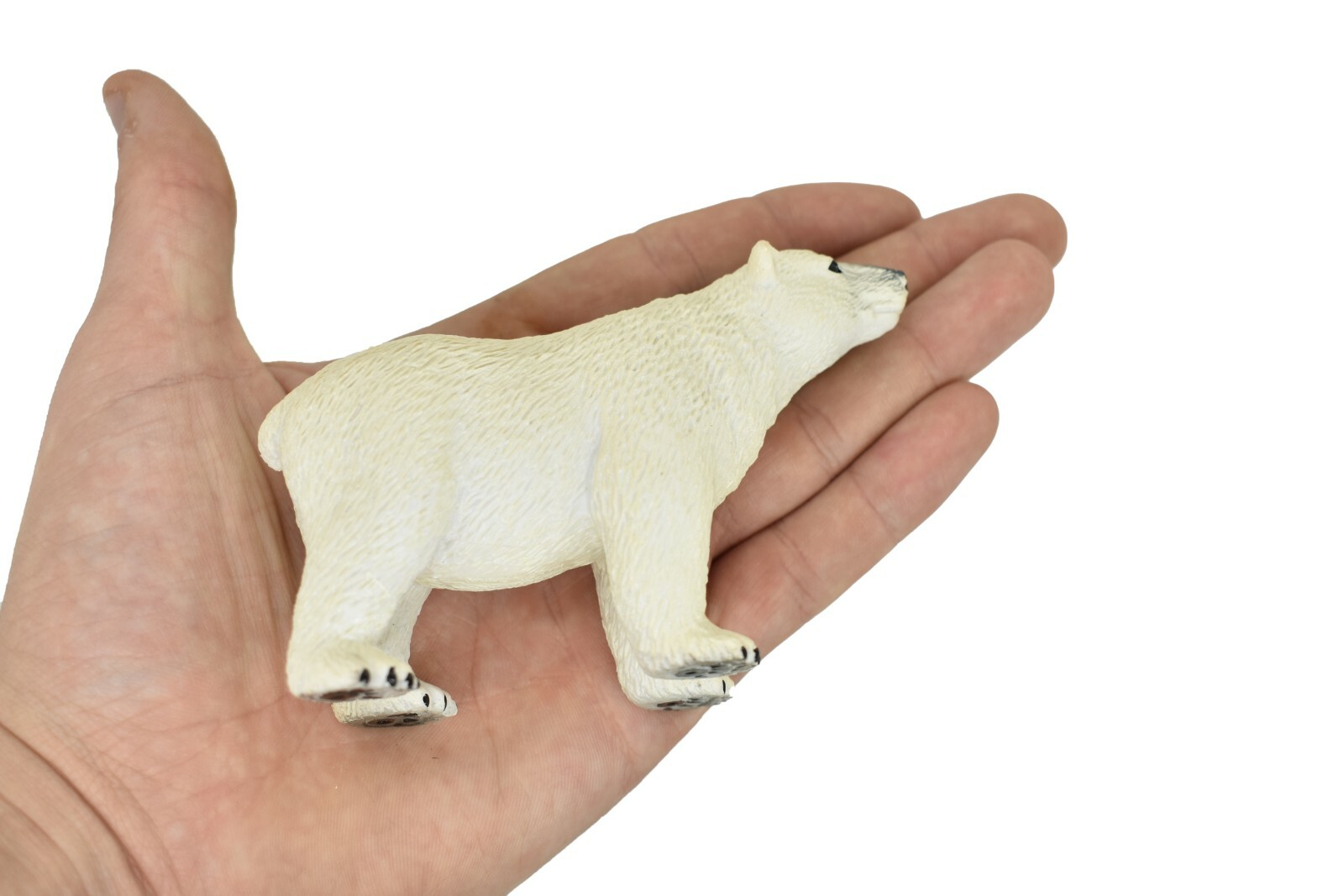 Polar Bear Very Nice Life Like Plastic Replica 4.5″L x 3.5″T – OK01 B610